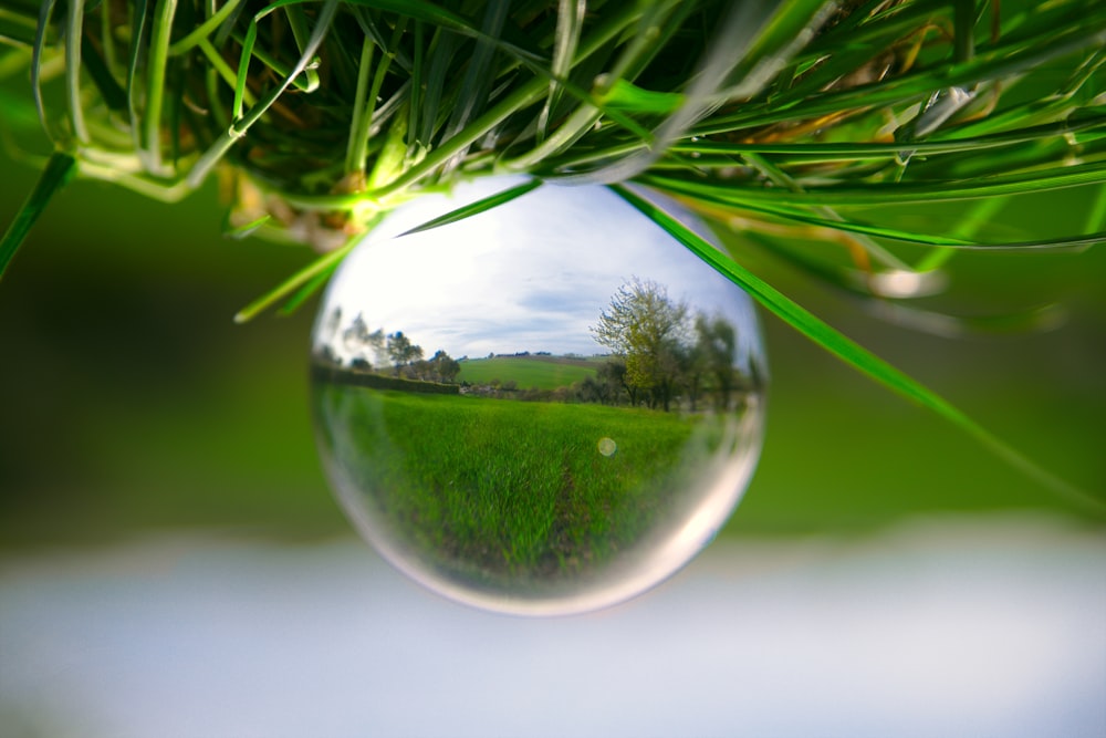 closeup photography of bubbles