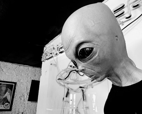 A detailed grayscale image of an alien model with large, dark eyes and a smooth, elongated head. In the background, there is a textured wall and some kind of abstract or artistic display, along with a framed picture.