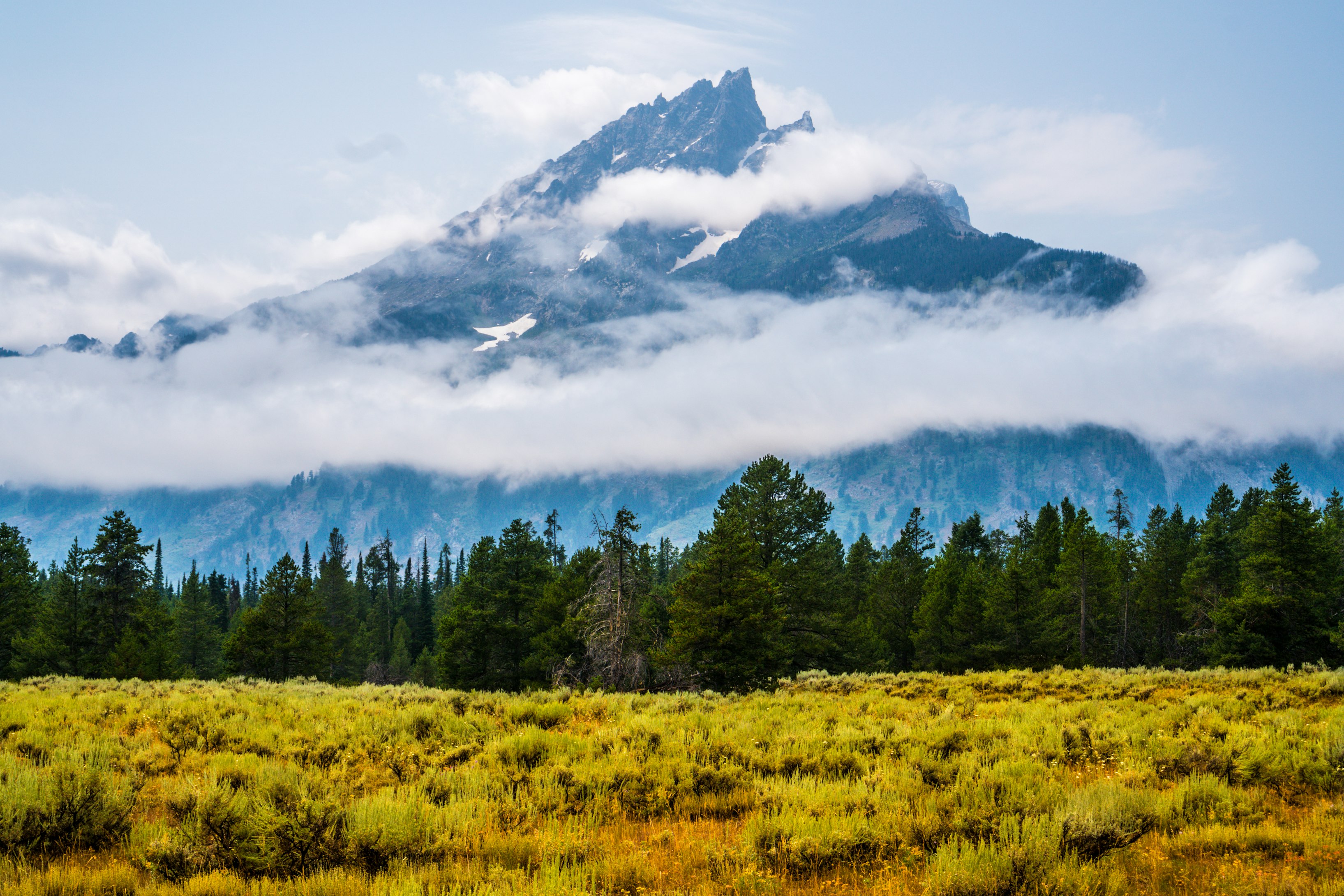 August Visitation in Yellowstone Lower Than 2021, 2019