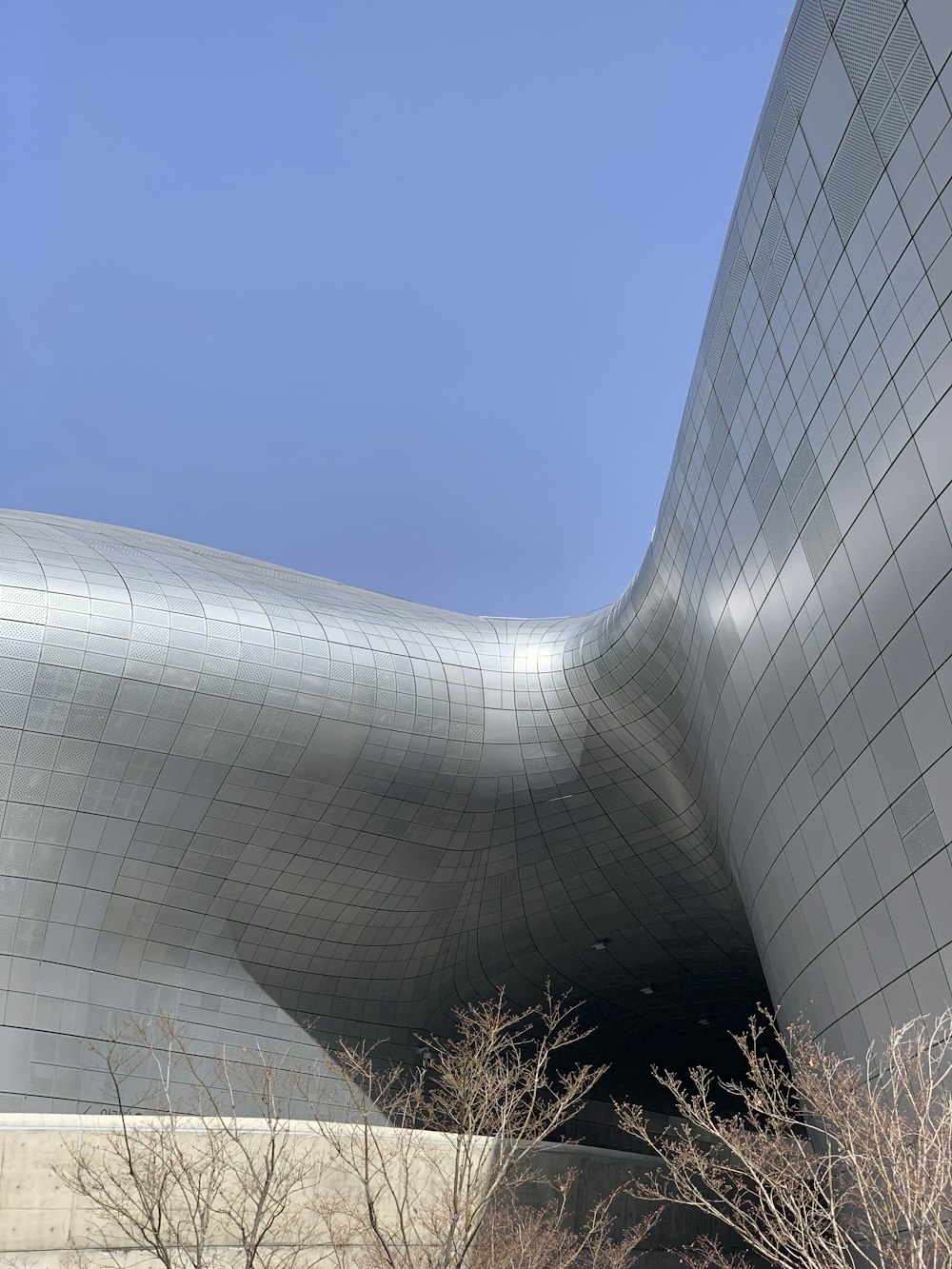 a building with a curved roof and a tree in front of it