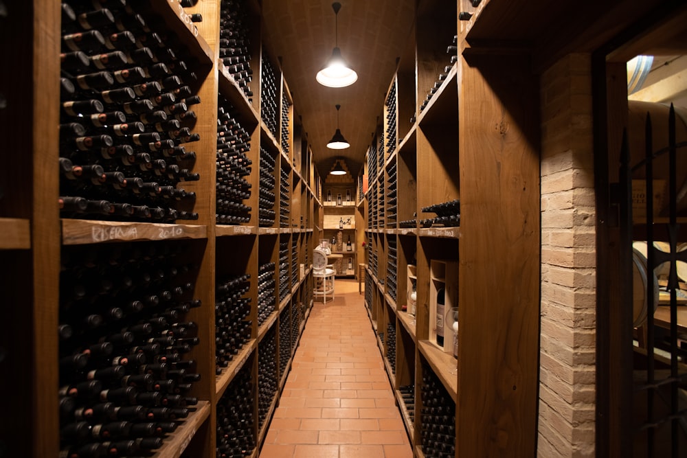 different wines on cellar