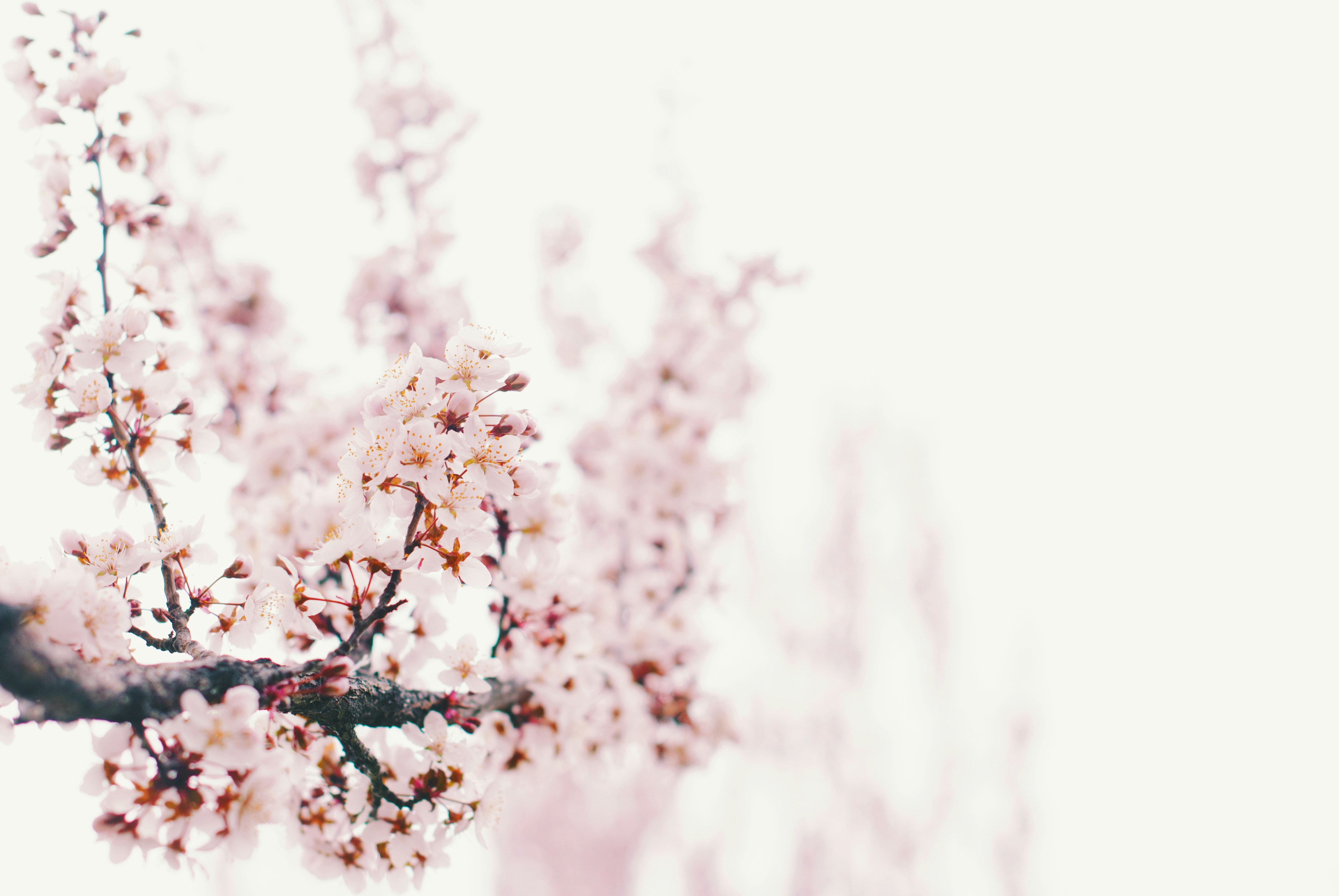 Photo by octoberroses