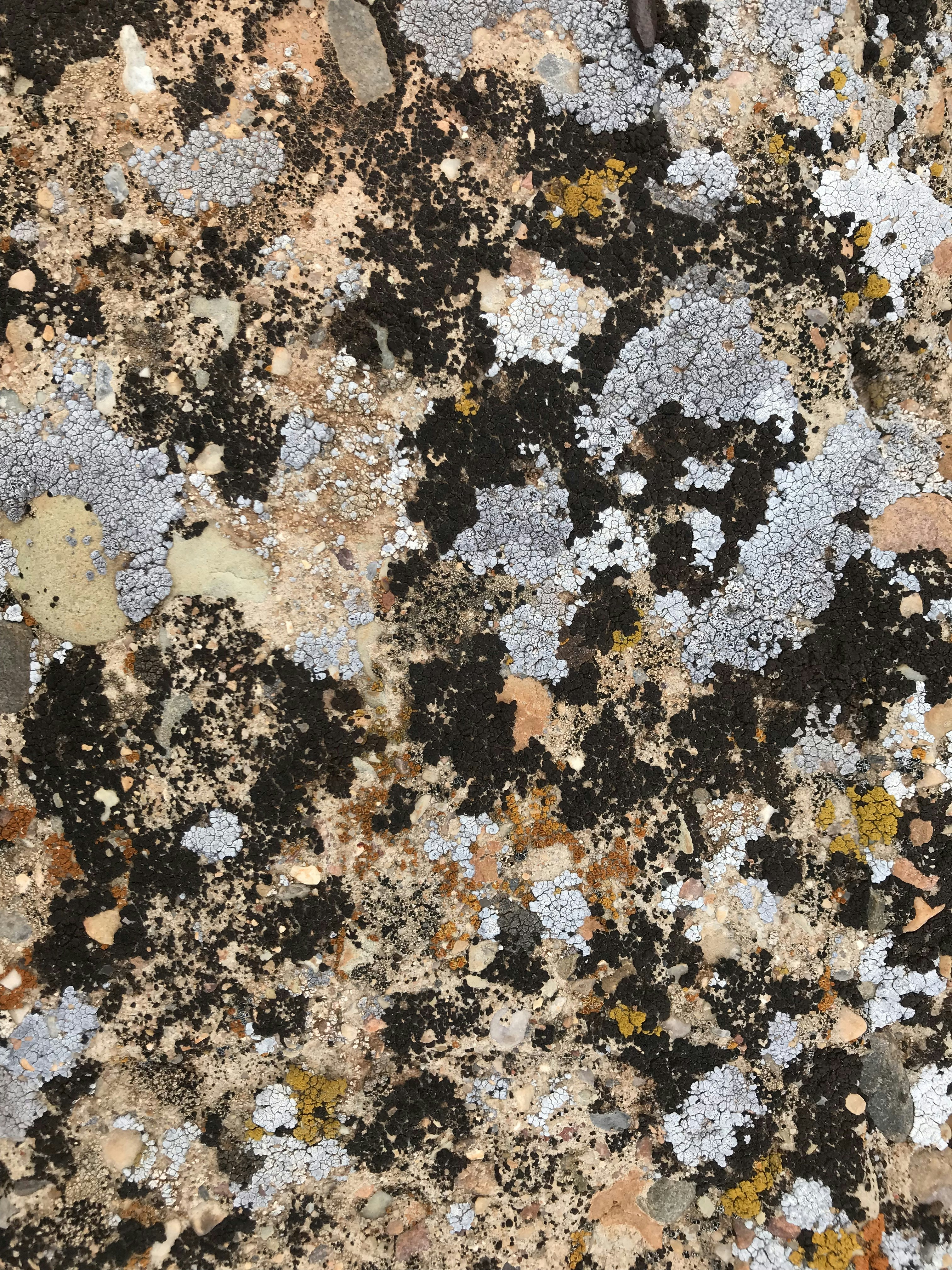 Photo by evokedesign