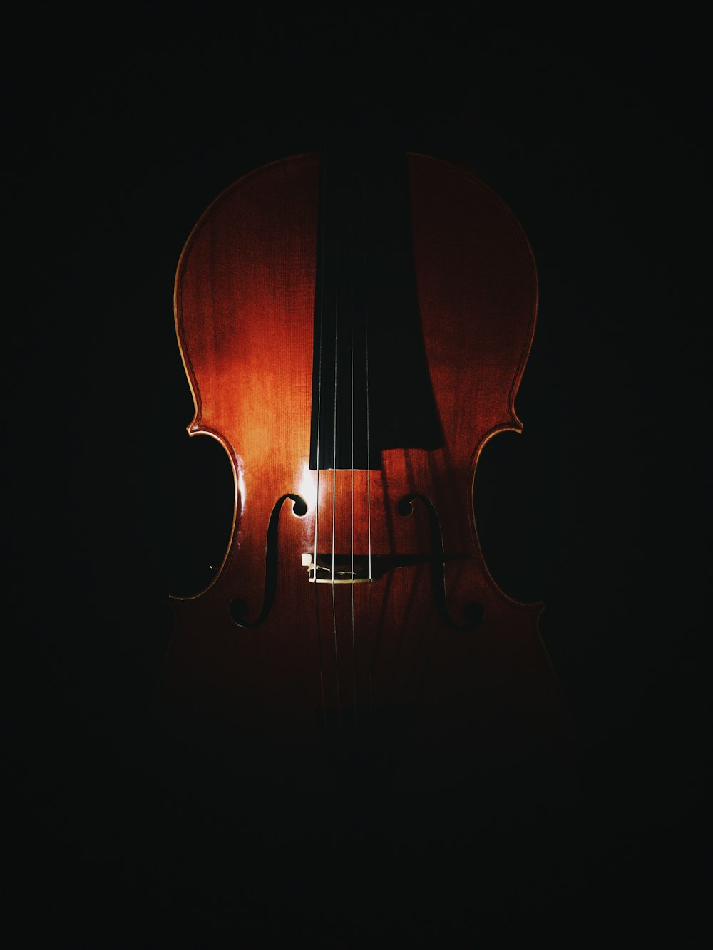 brown wooden violin