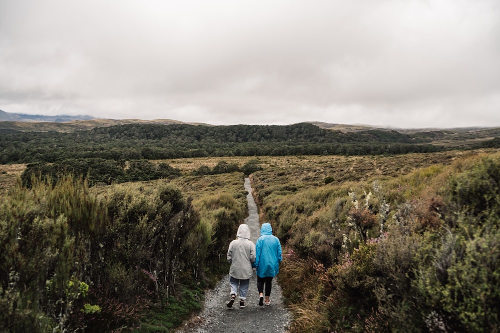 two person walking on farm road