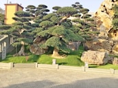 A beautifully landscaped garden designed by RAR Ventures.