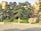 A meticulously landscaped garden featuring carefully trimmed trees with lush, rounded canopies. Large ornamental rocks are strategically placed throughout the garden, which is enclosed by a low stone fence. The setting is sunlit, casting soft shadows on the neatly paved ground.