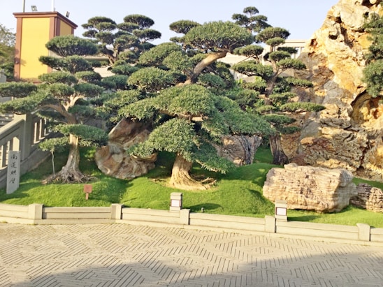 A meticulously landscaped garden featuring carefully trimmed trees with lush, rounded canopies. Large ornamental rocks are strategically placed throughout the garden, which is enclosed by a low stone fence. The setting is sunlit, casting soft shadows on the neatly paved ground.