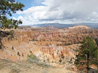 A vast and scenic desert landscape featuring a canyon with numerous hoodoos and rock formations. These structures have a distinct reddish hue with some white and gray elements, set against a background of mountains under a partly cloudy sky. Pine trees are visible in the foreground and scattered throughout the canyon.