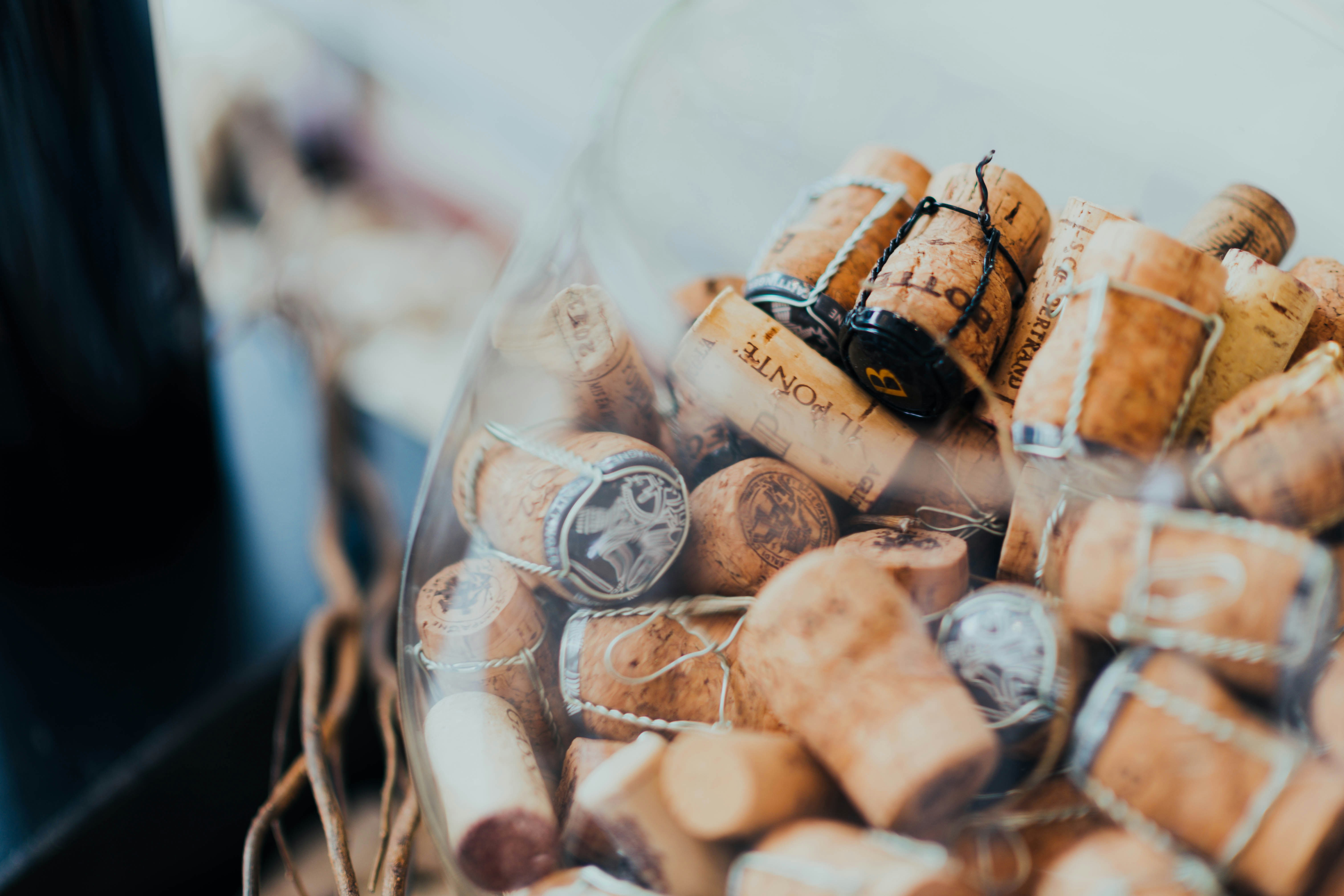 Photo by chuttersnap