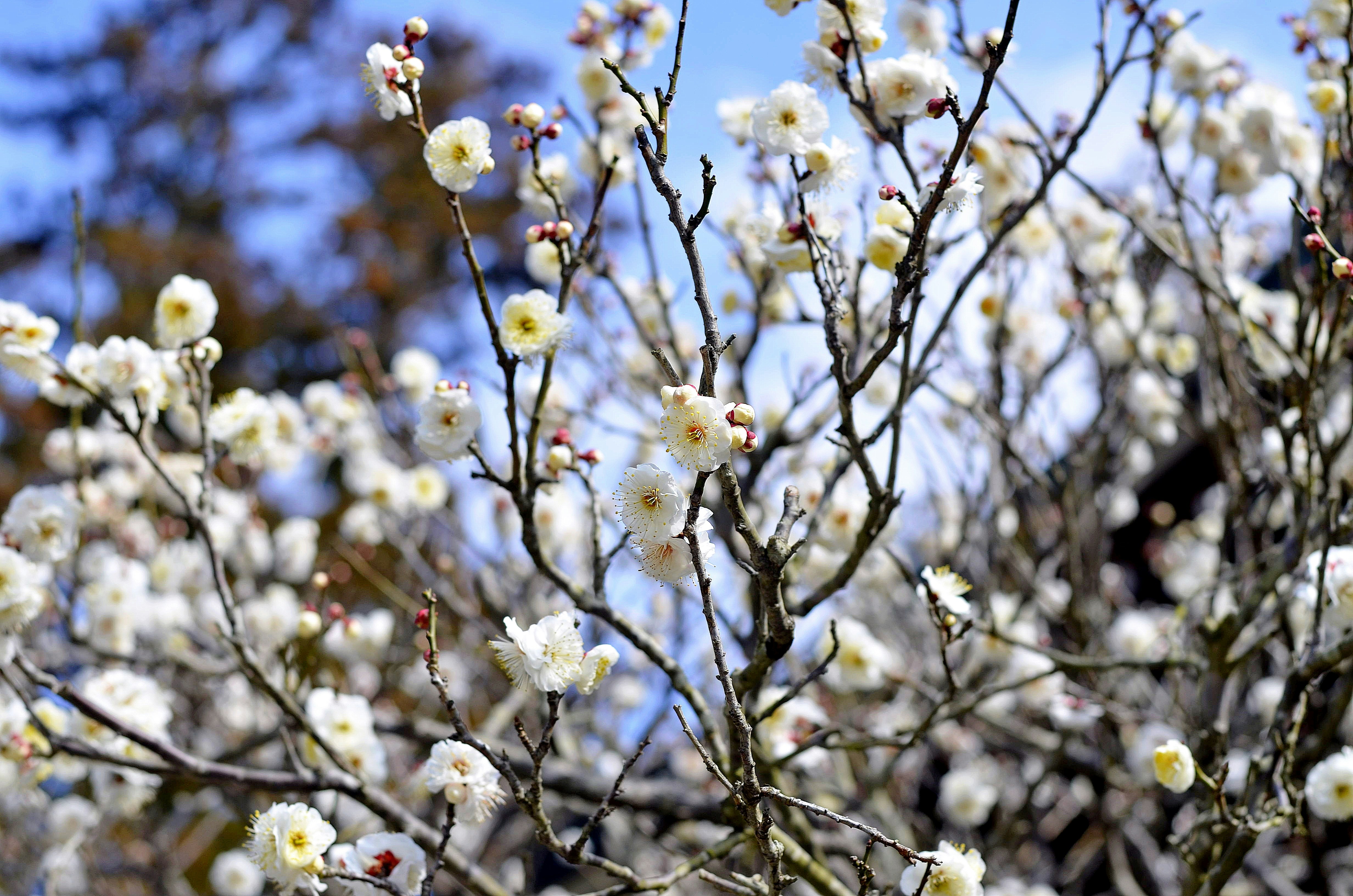 Photo by travelphotographer