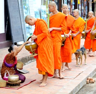 Bouddhisme, méditation, bouddha, dhamma 
