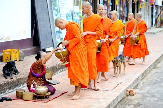 An elderly woman sits on a sidewalk with various baskets in front of her, offering food to a line of young monks dressed in bright orange robes. Each monk is holding a bowl, receiving alms. Two dogs are sitting and standing nearby, observing the scene. The setting appears to be a street with some buildings in the background.