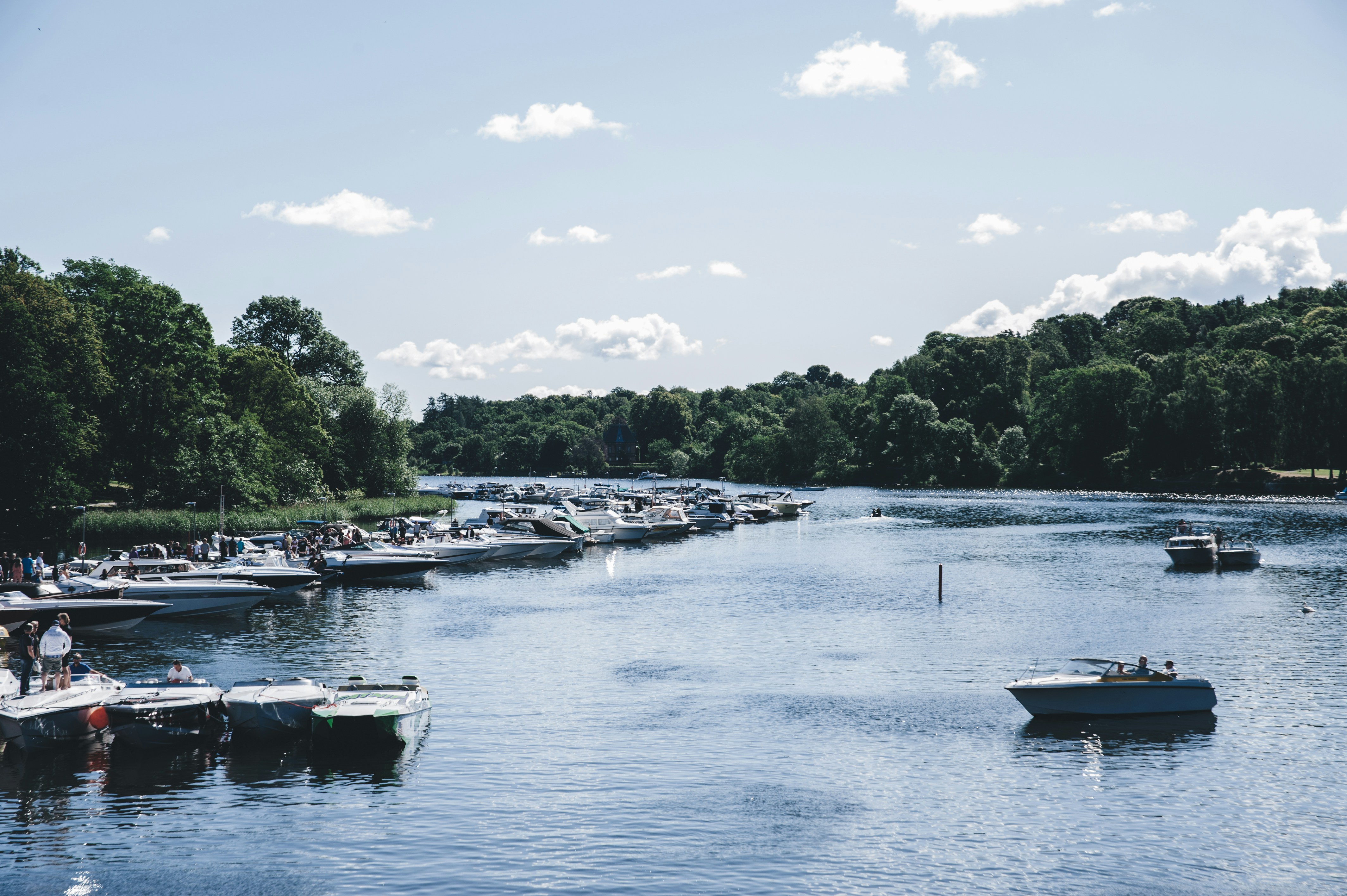 Photo by elviravisser