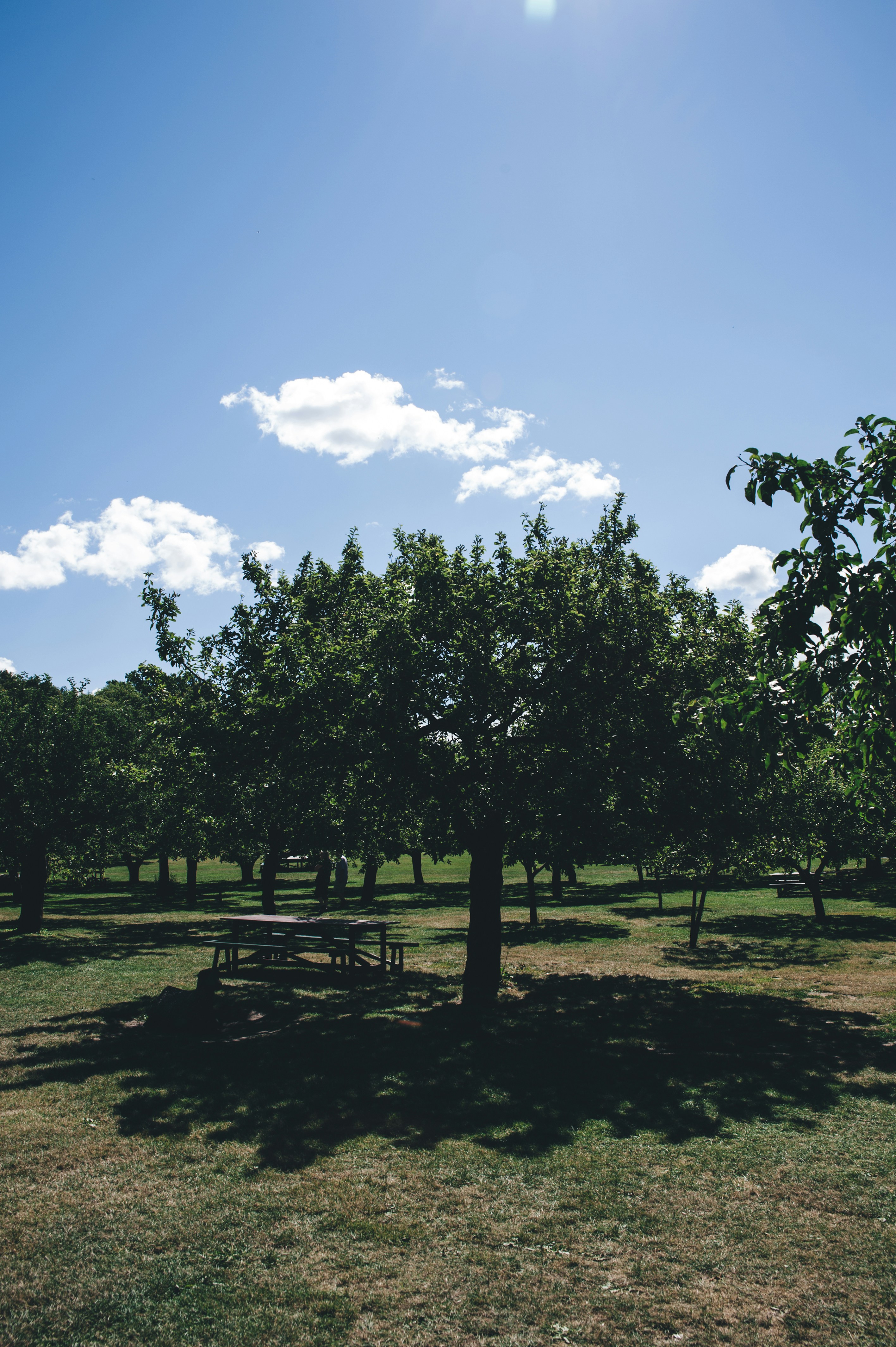 Photo by elviravisser