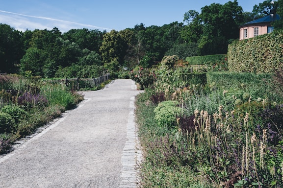 A beautifully maintained garden path winding through vibrant greenery in Western Connecticut.