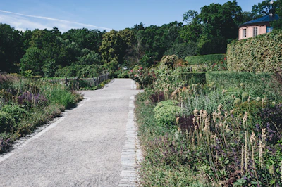Beautifully maintained garden pathway surrounded by lush greenery and blooming flowers.