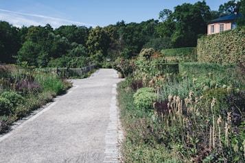 A well-maintained garden path surrounded by lush greenery and various flowering plants. Tall trees create a dense background, and a small structure with a conical roof is visible on the right.