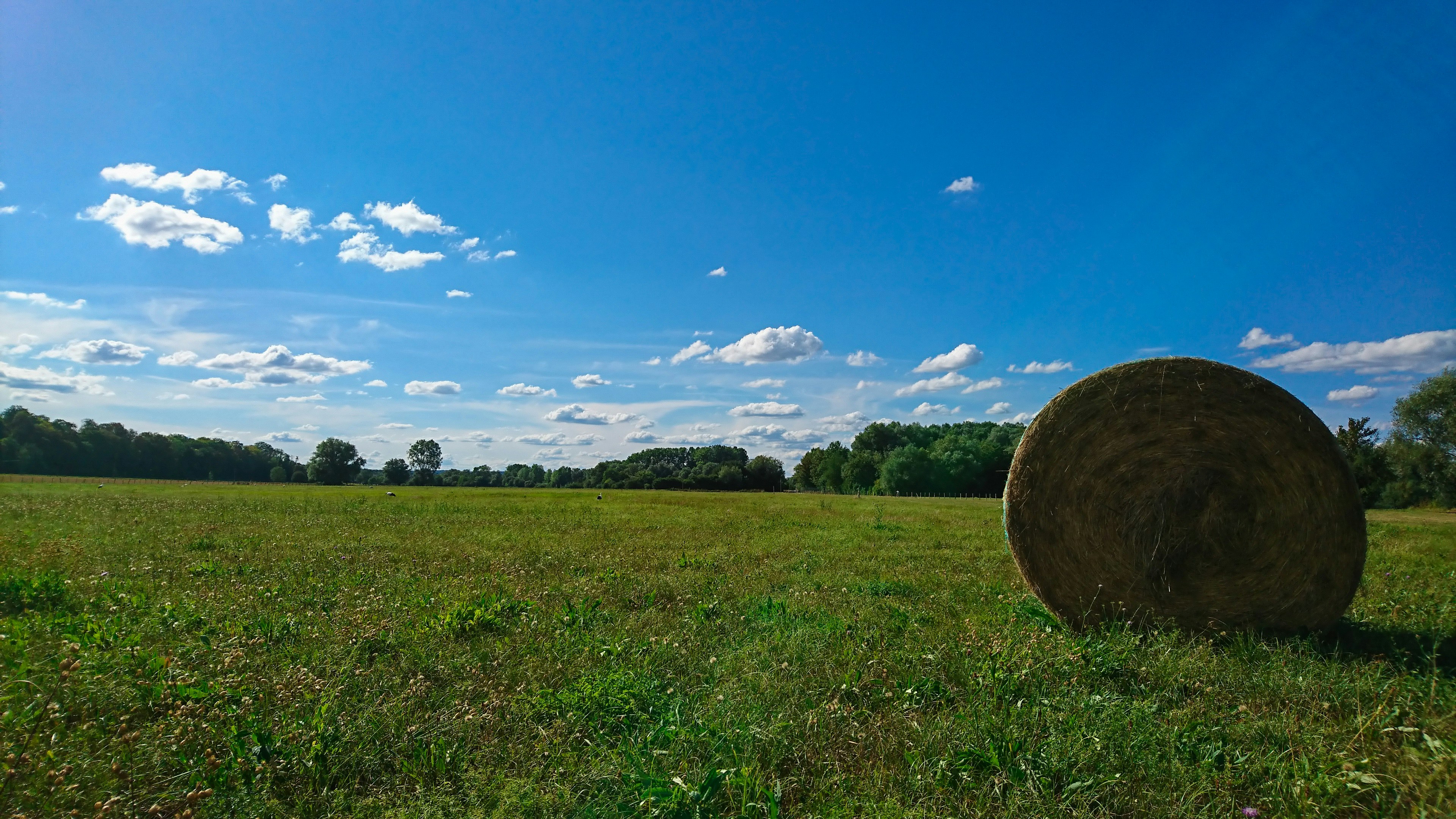 Photo by droneviewsfr