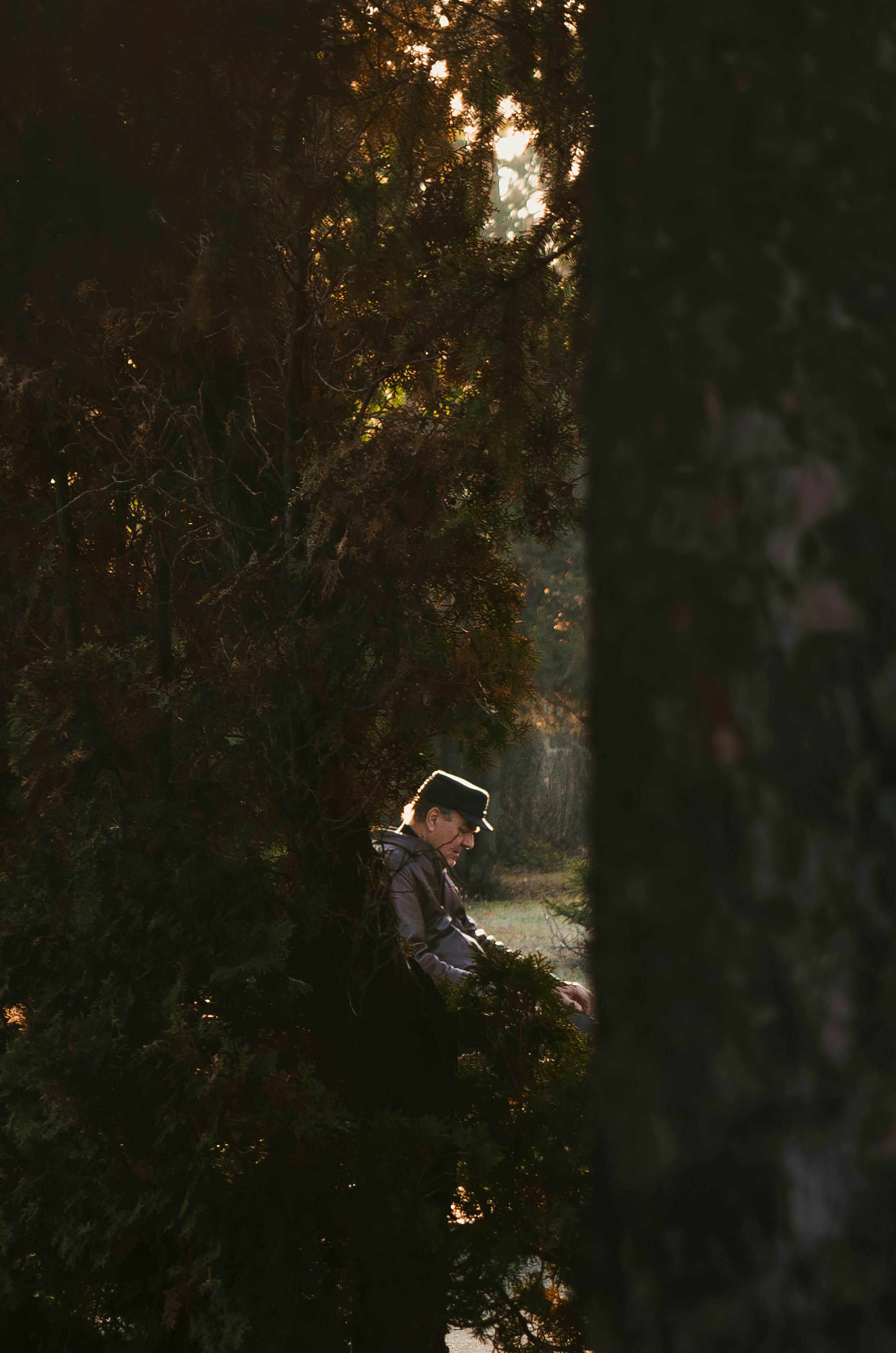 Photo by mihai14