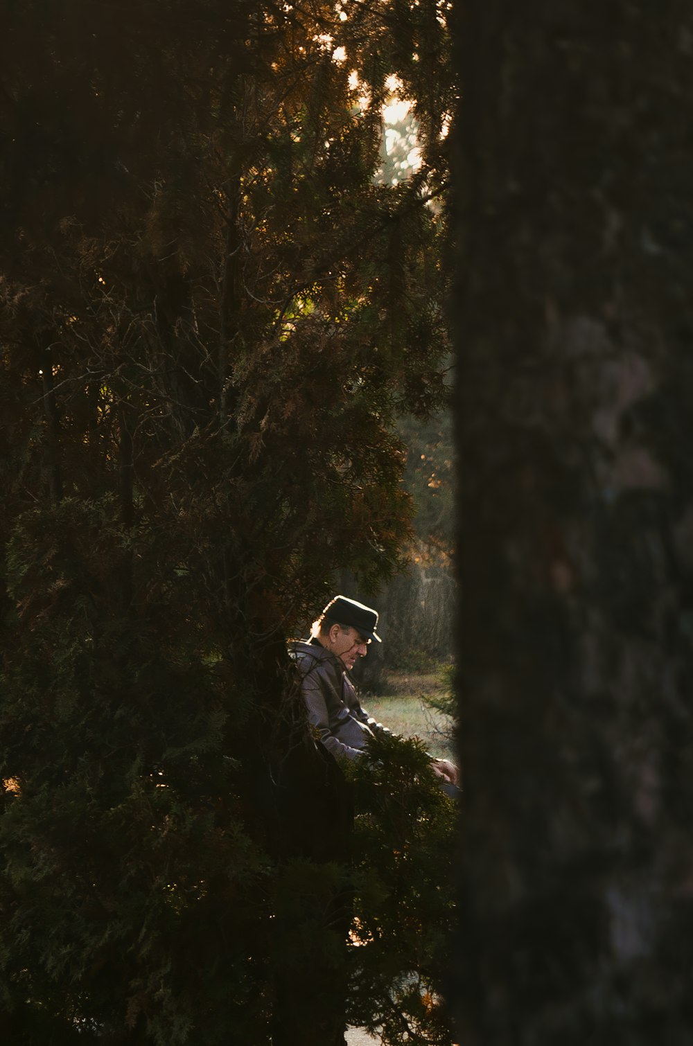 man holding green-leafed plant near tree