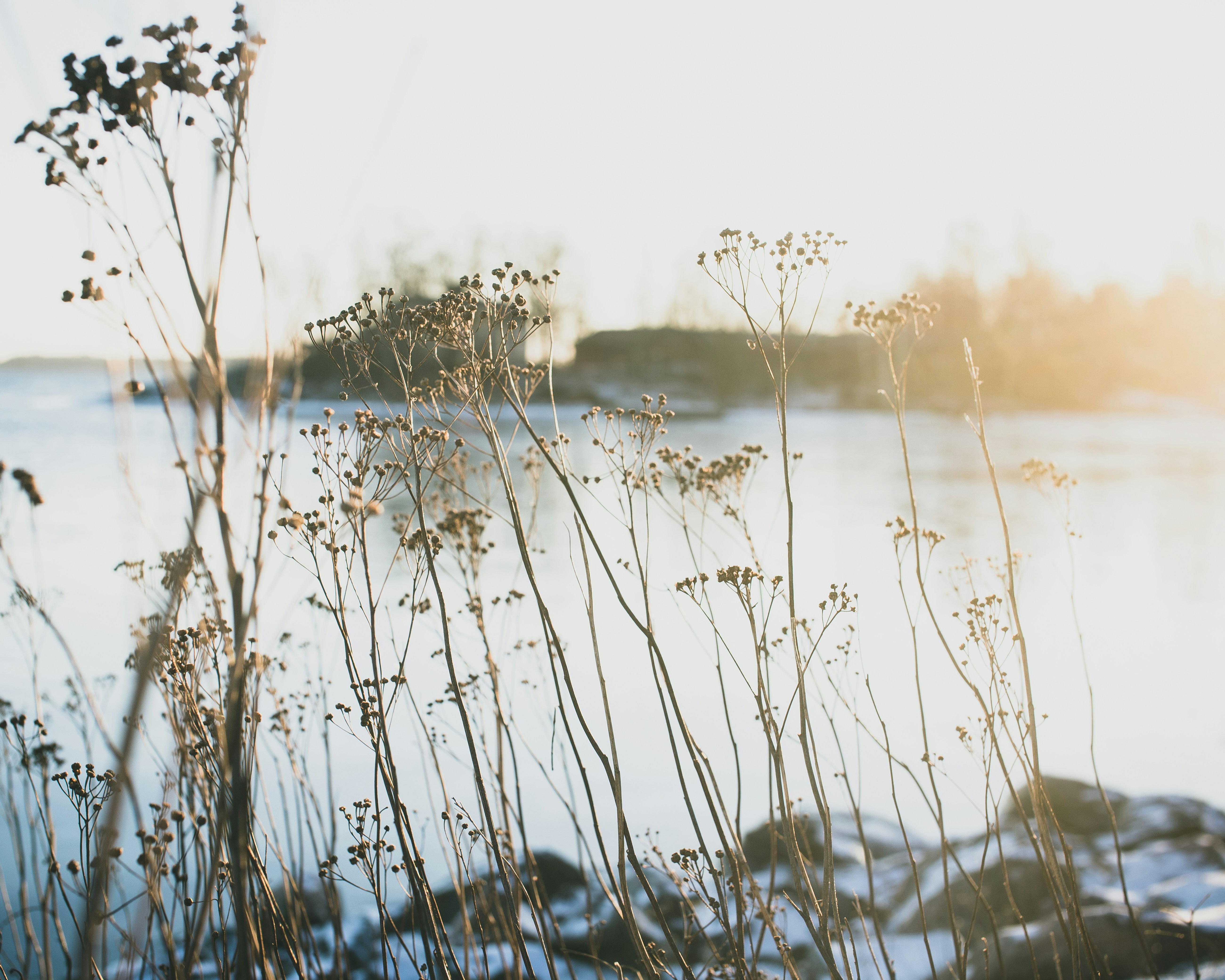 Photo by alex_photogram