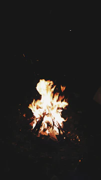 A flickering campfire glowing against a dark forest backdrop under a starry sky.