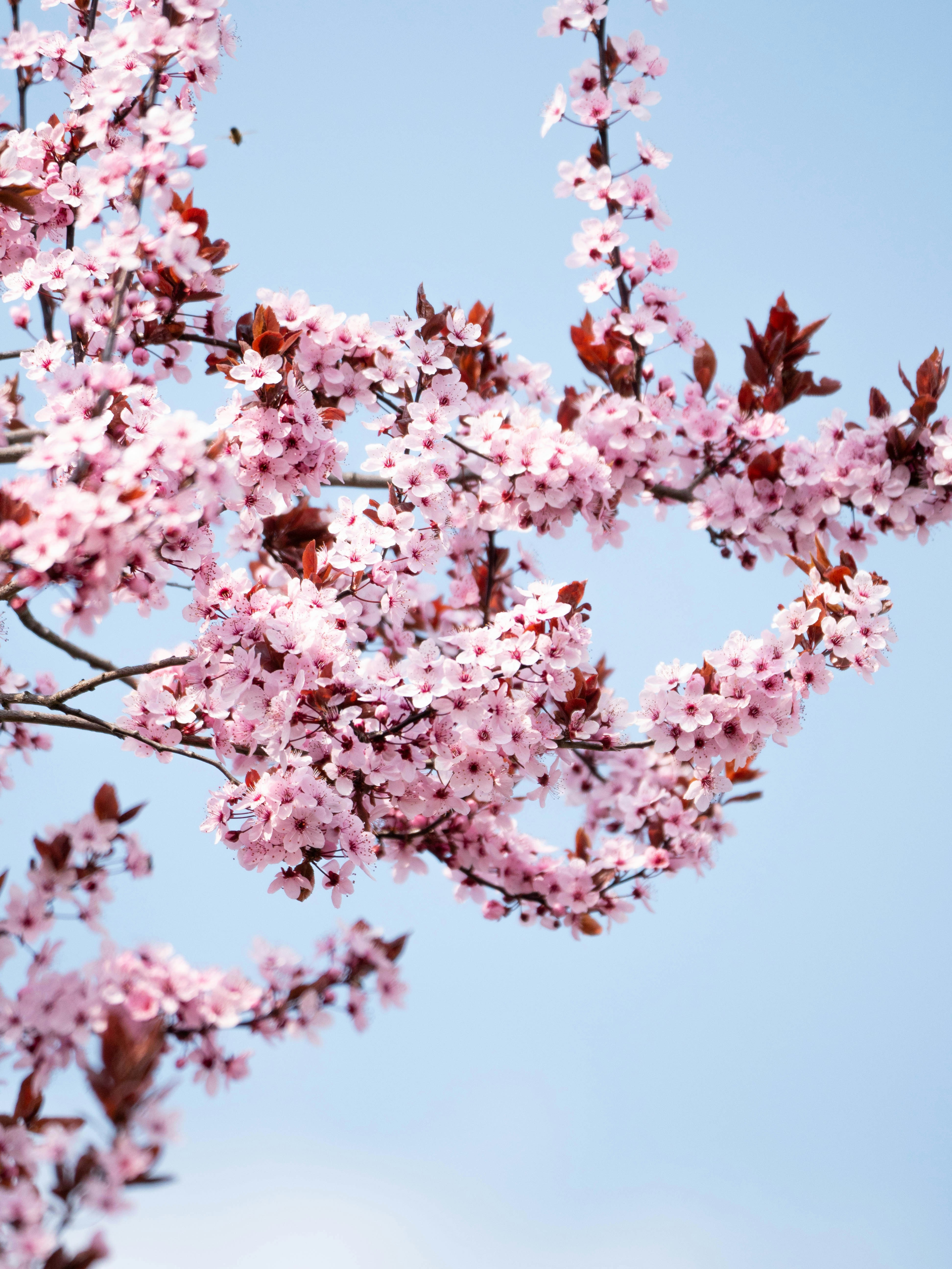 Photo by verstappen_photography