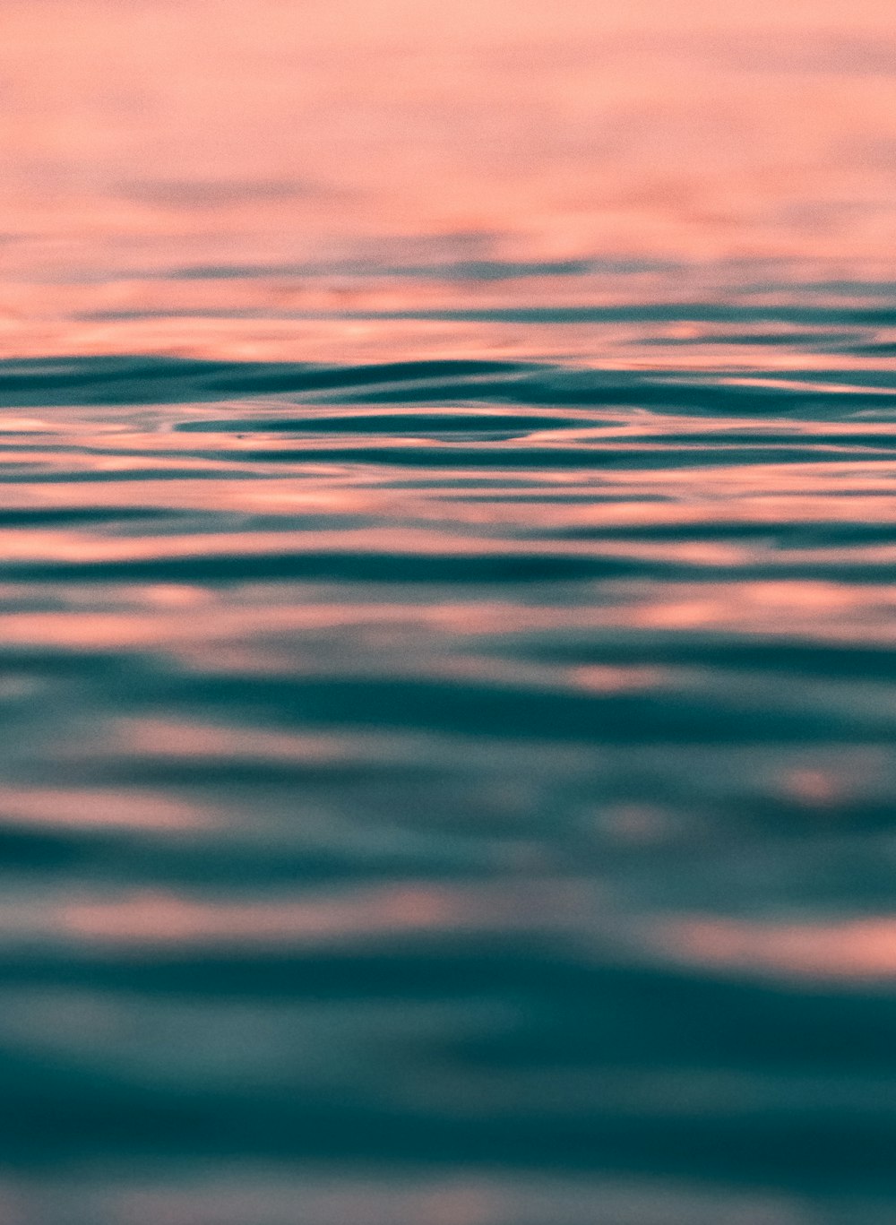 calm water in closeup photography