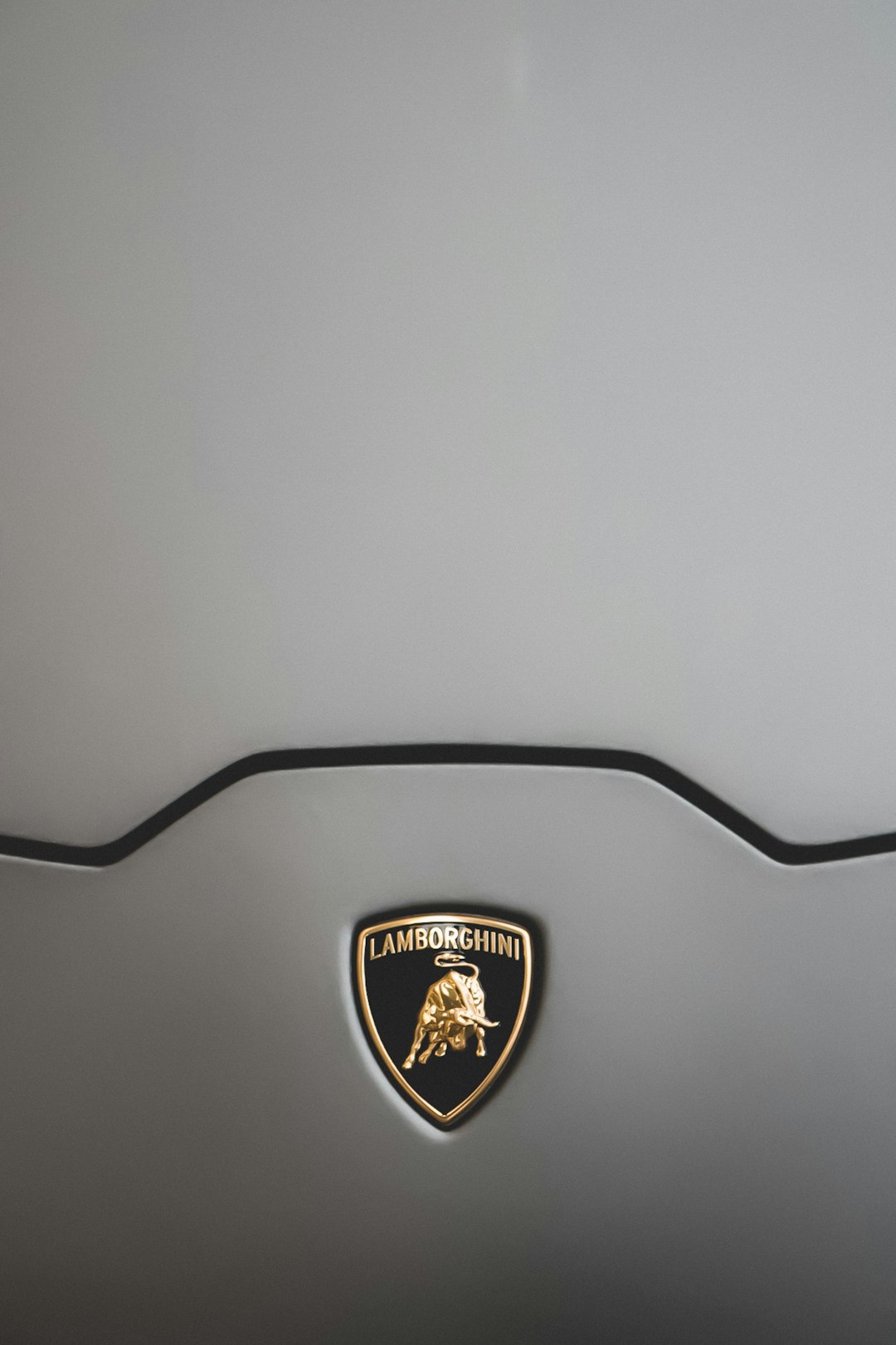 Lamborghini emblem