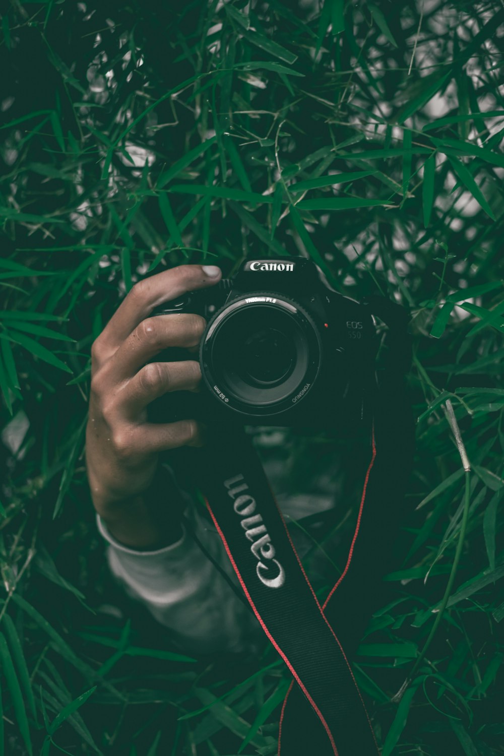 a person holding a camera in the grass