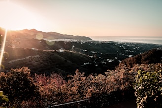 Sunset view over a spacious lot with natural vegetation and distant mountains.
