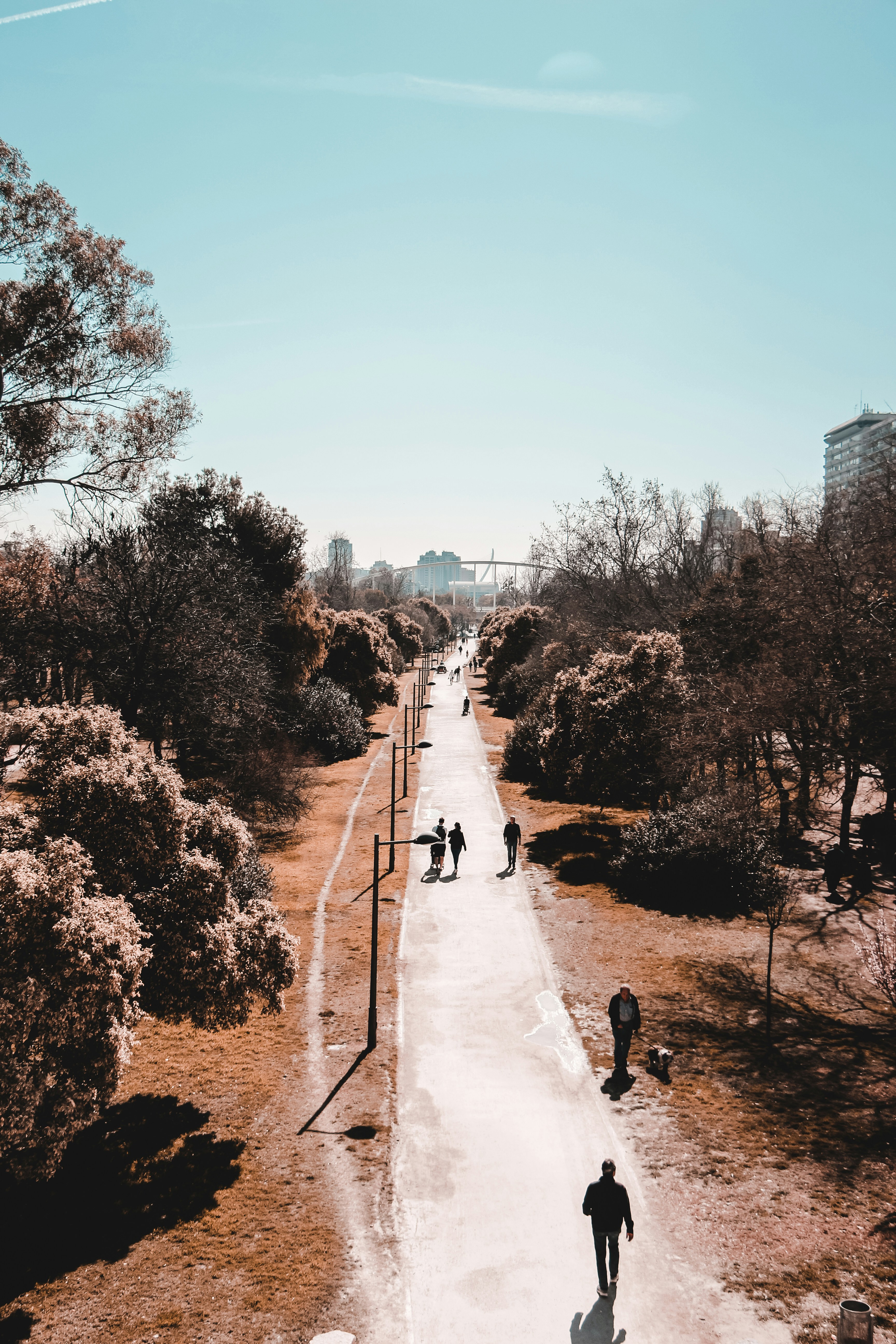 Fotografía de gran angular de cinco personas caminando por el camino de la granja