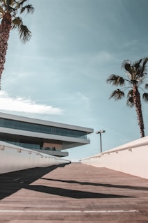 A modern building with sleek, horizontal lines is flanked by tall palm trees. The pathway leading up to the structure is made of wood, and the sky above is clear with a few clouds scattered.