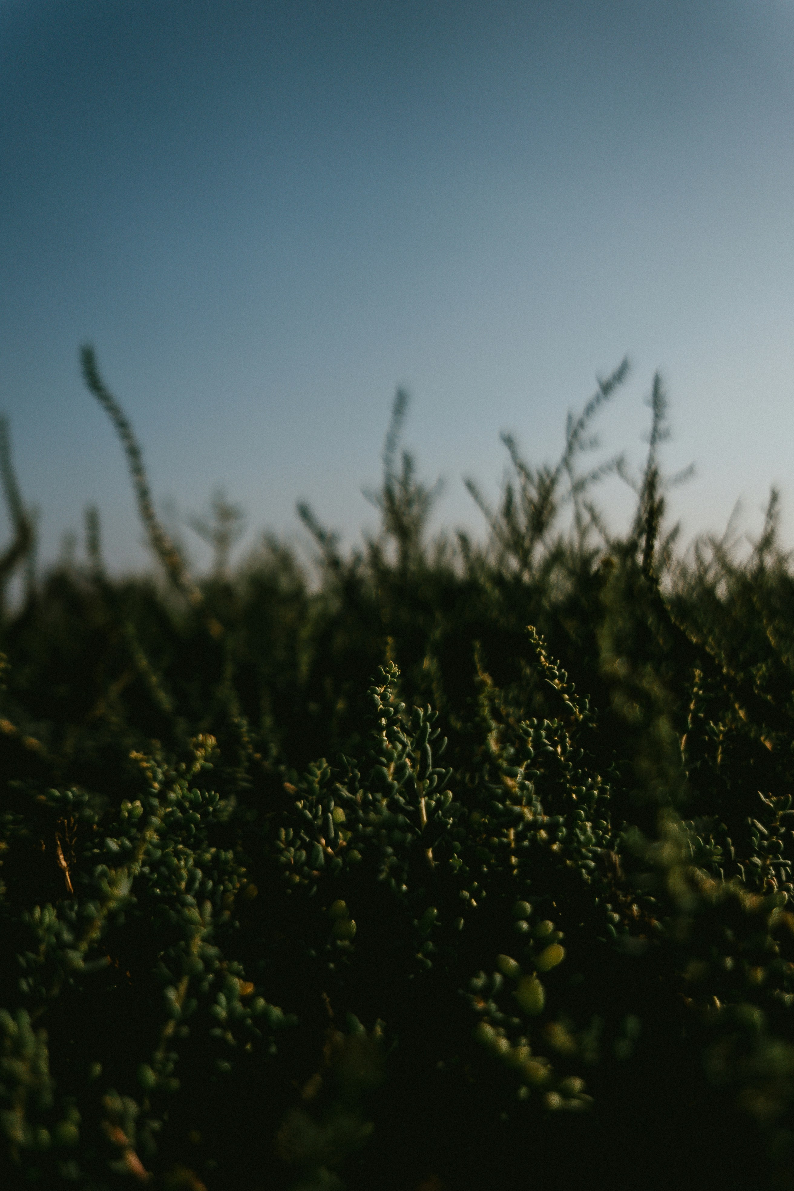 Photo by soakedinnirvana