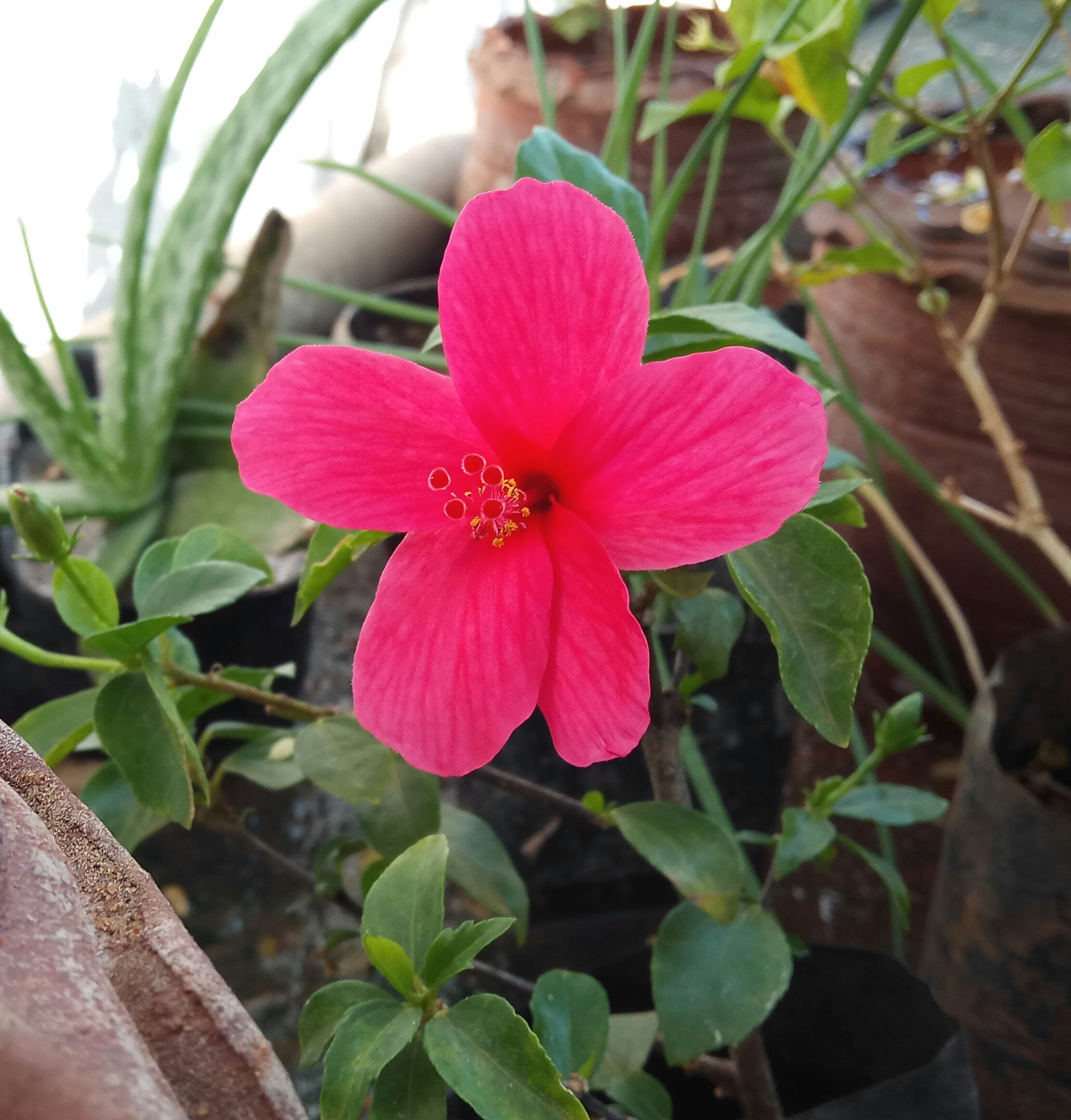 G Ranjith Solomon (@bonumpuerum) | Unsplash Photo Community