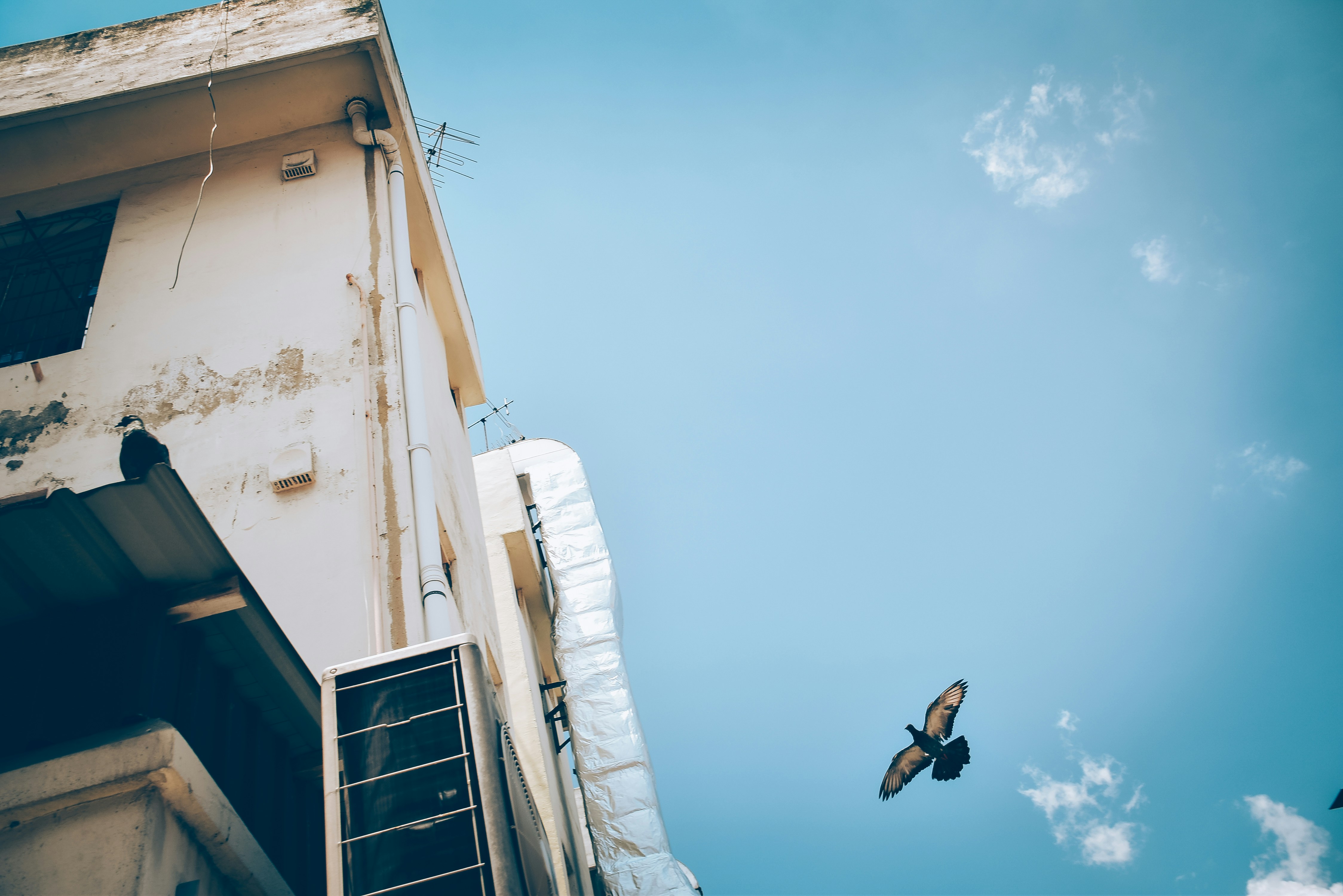 Photo by ginnie_nguyen