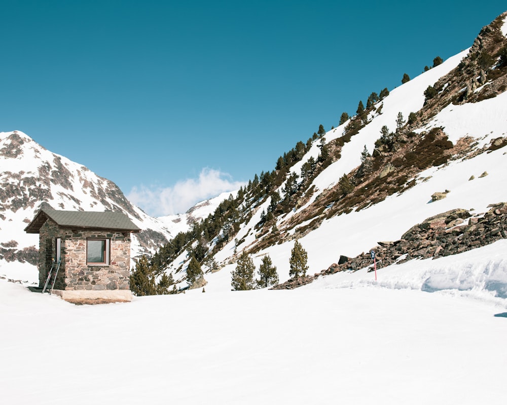 brown and black house near mountain