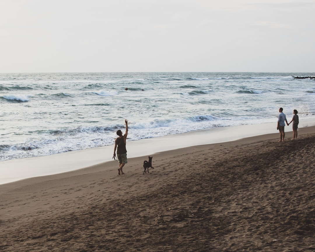 man walking with dog on shroe