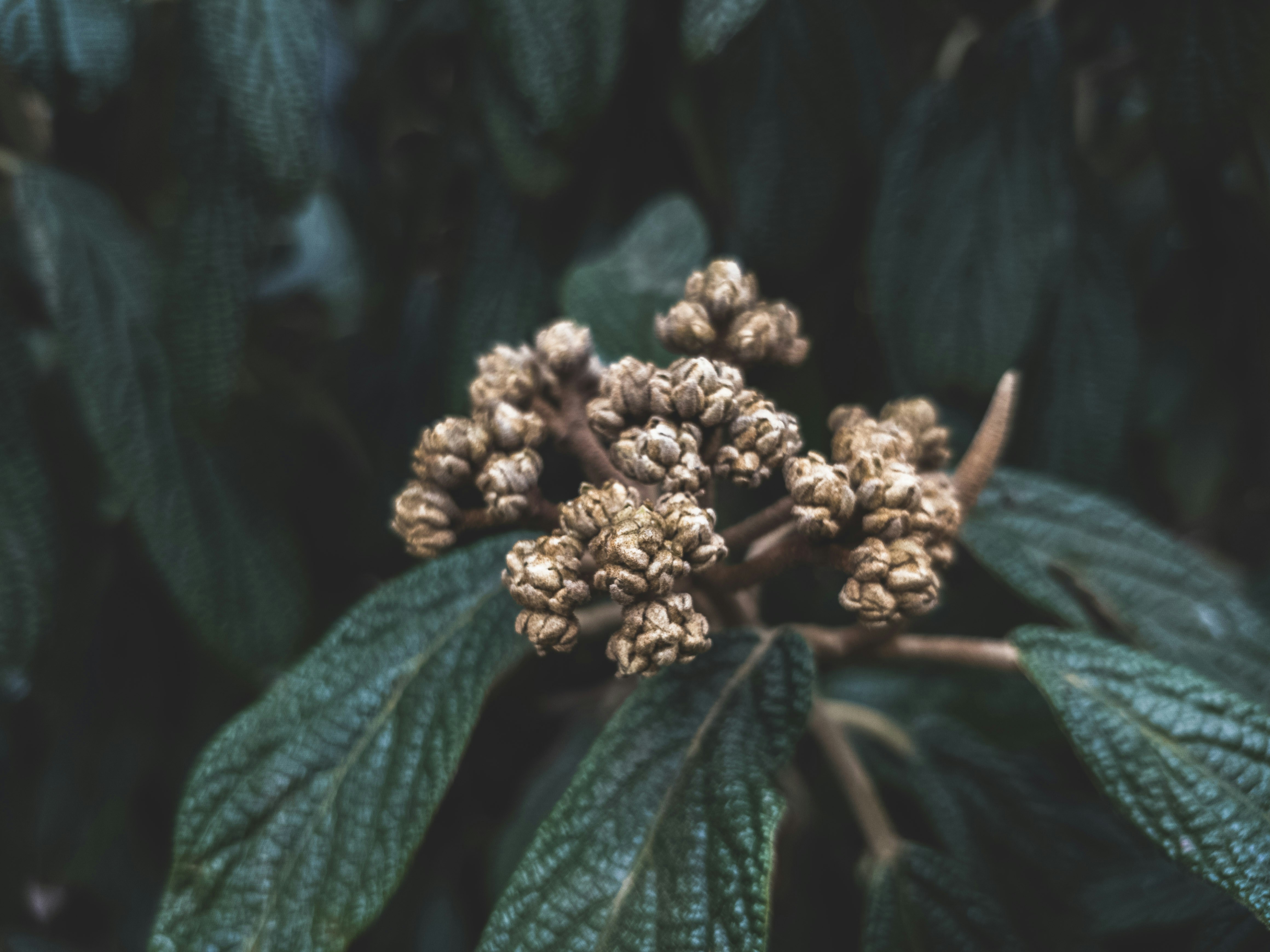 Photo by jeffrey_jpeg