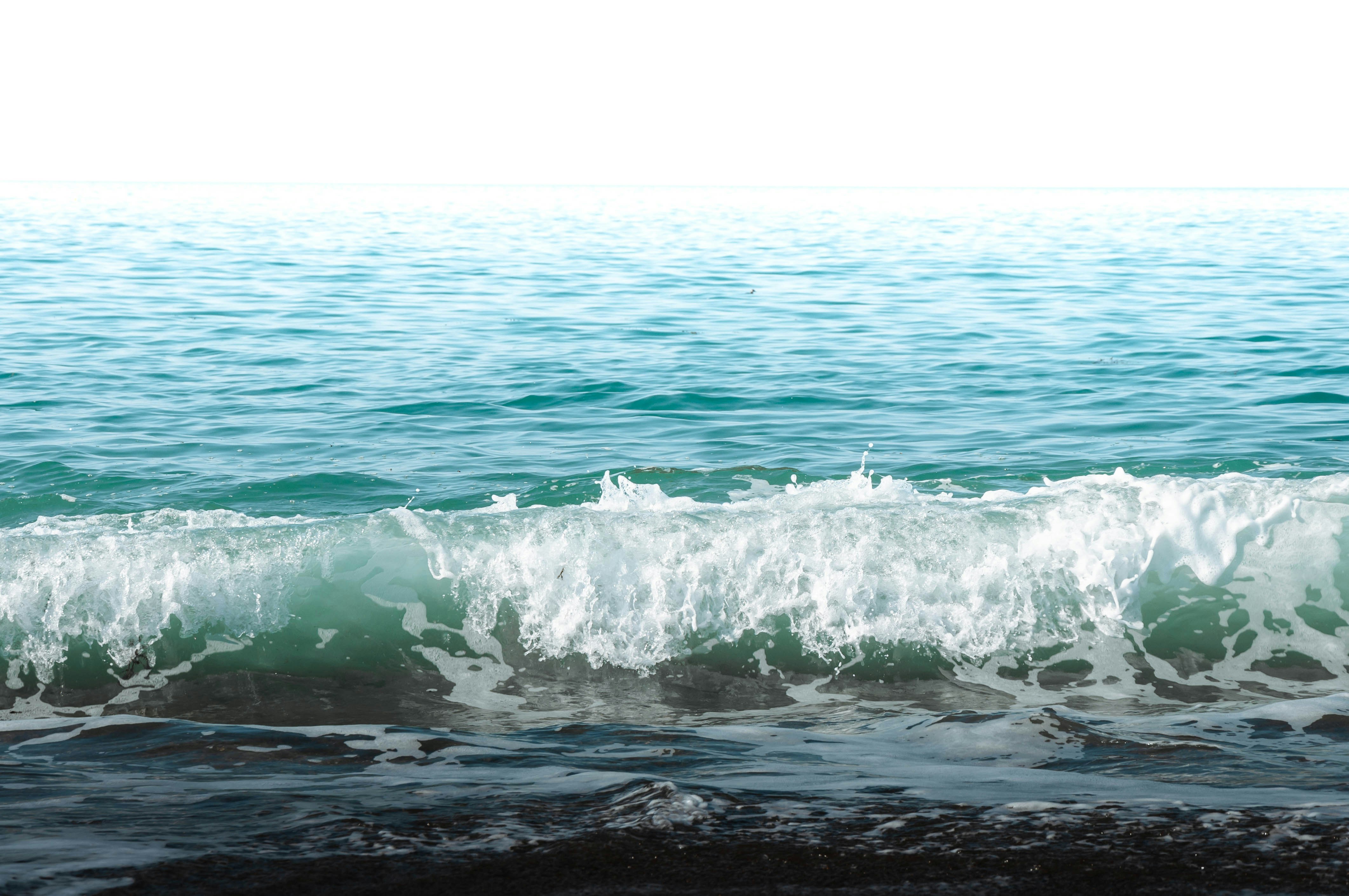 Photo by camille_plds