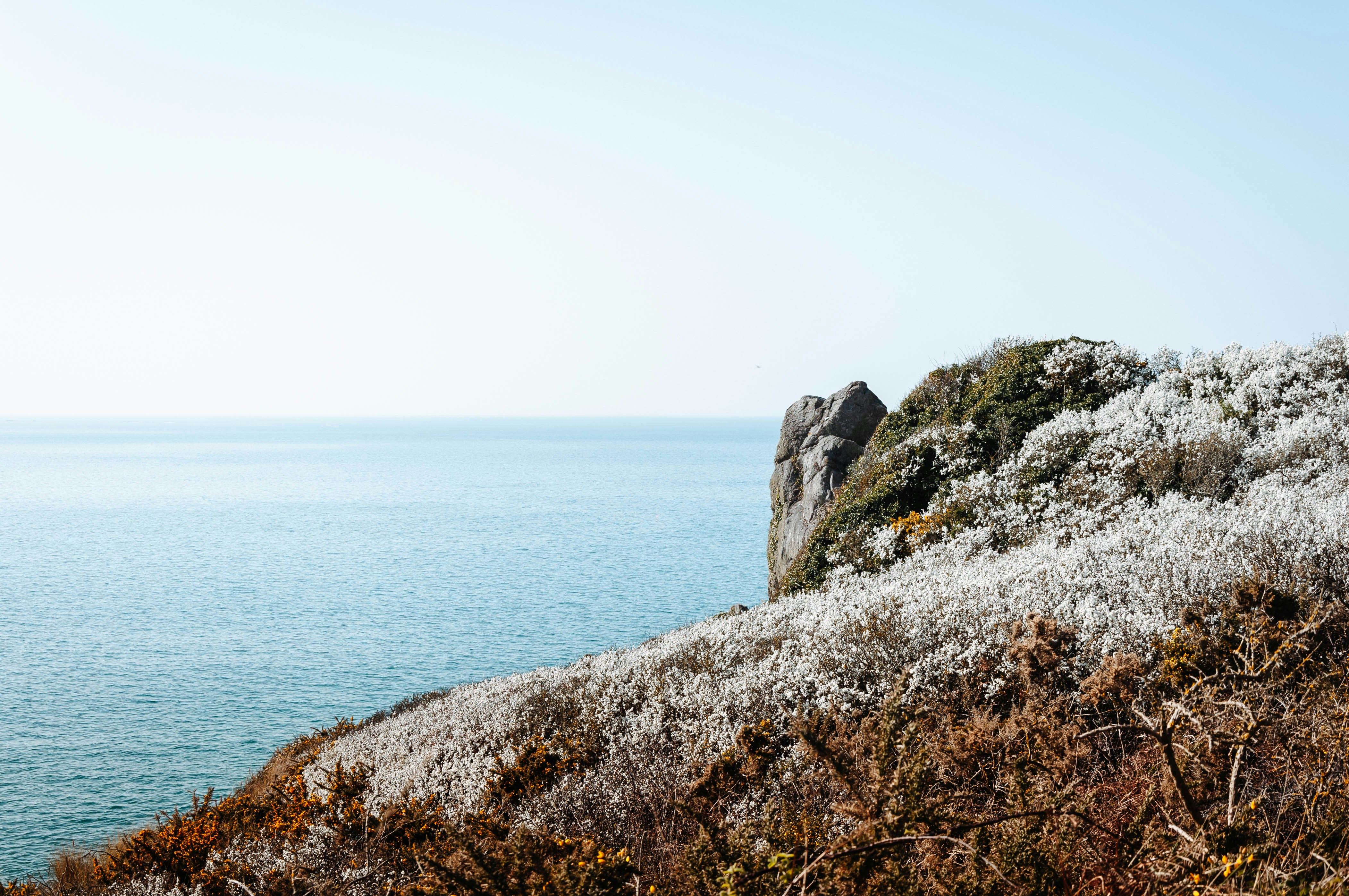 Photo by camille_plds