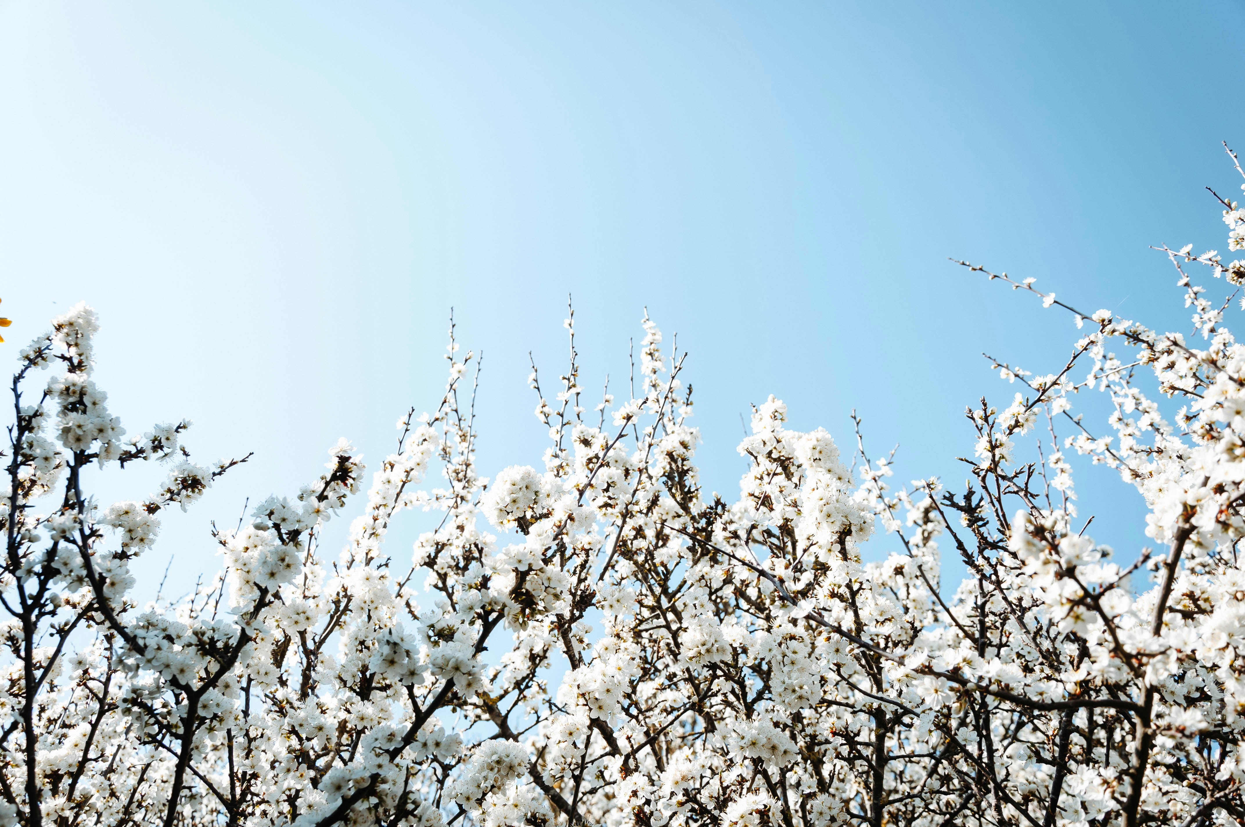 Photo by camille_plds