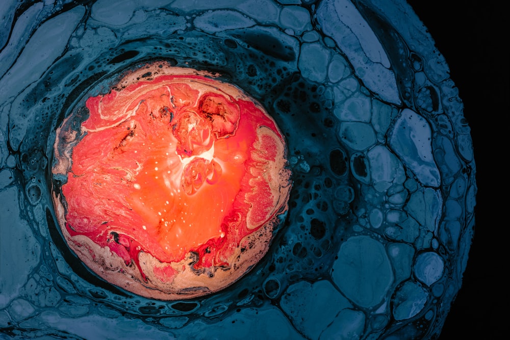 a close up of a red object in water