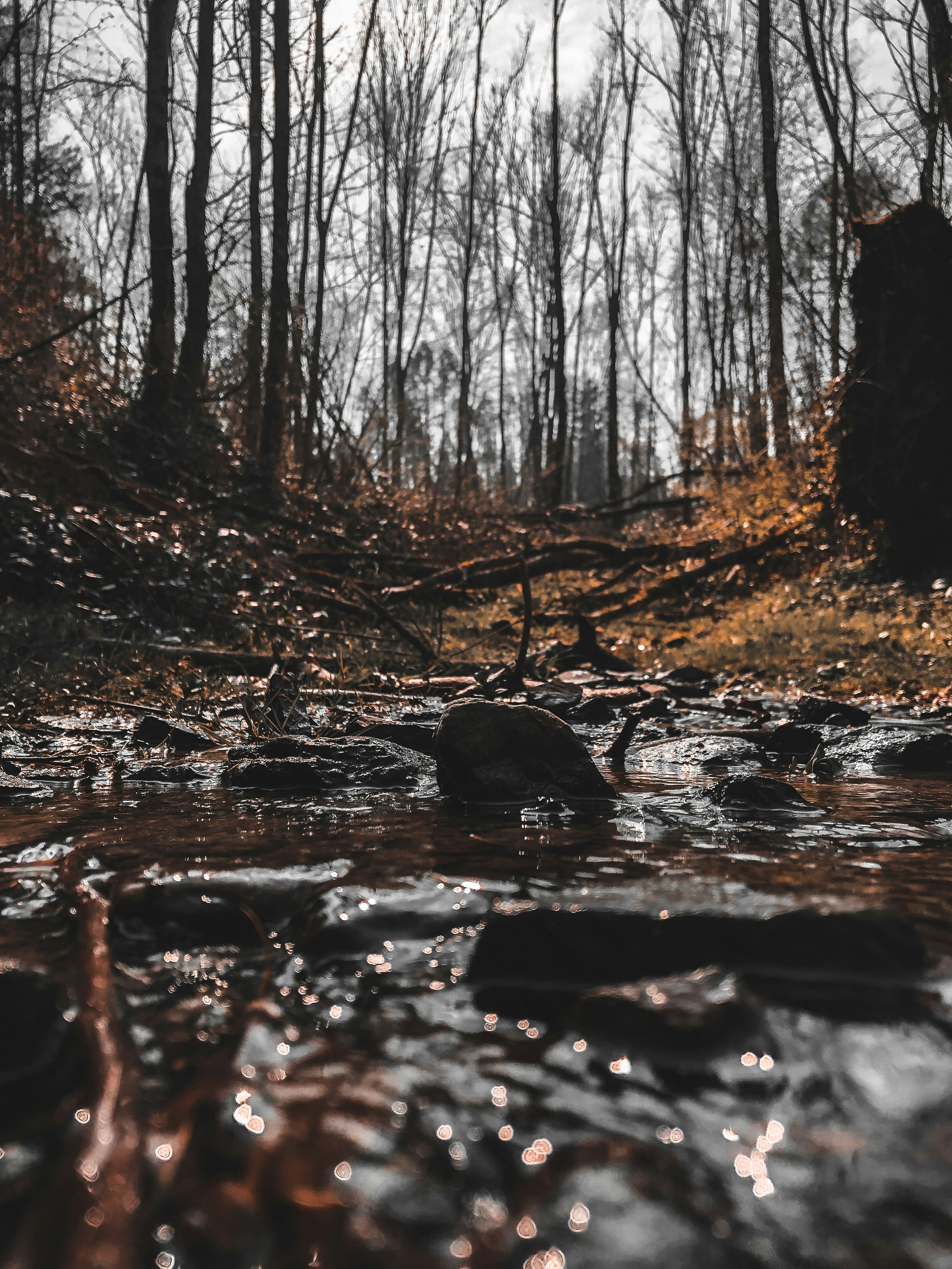 Photo by jonasjaekenmedia