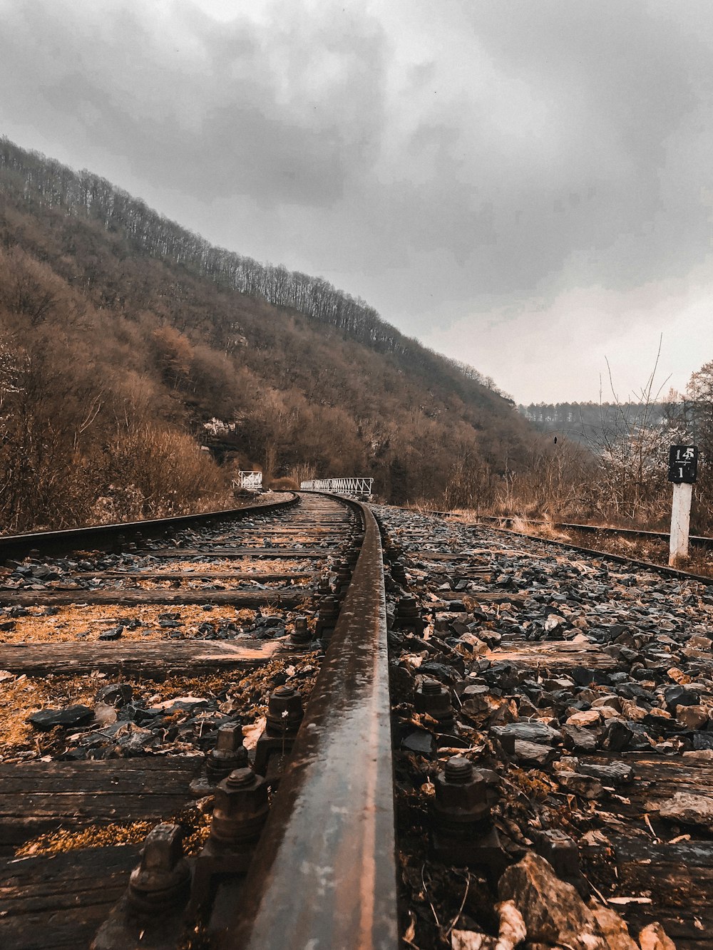 rieles de tren