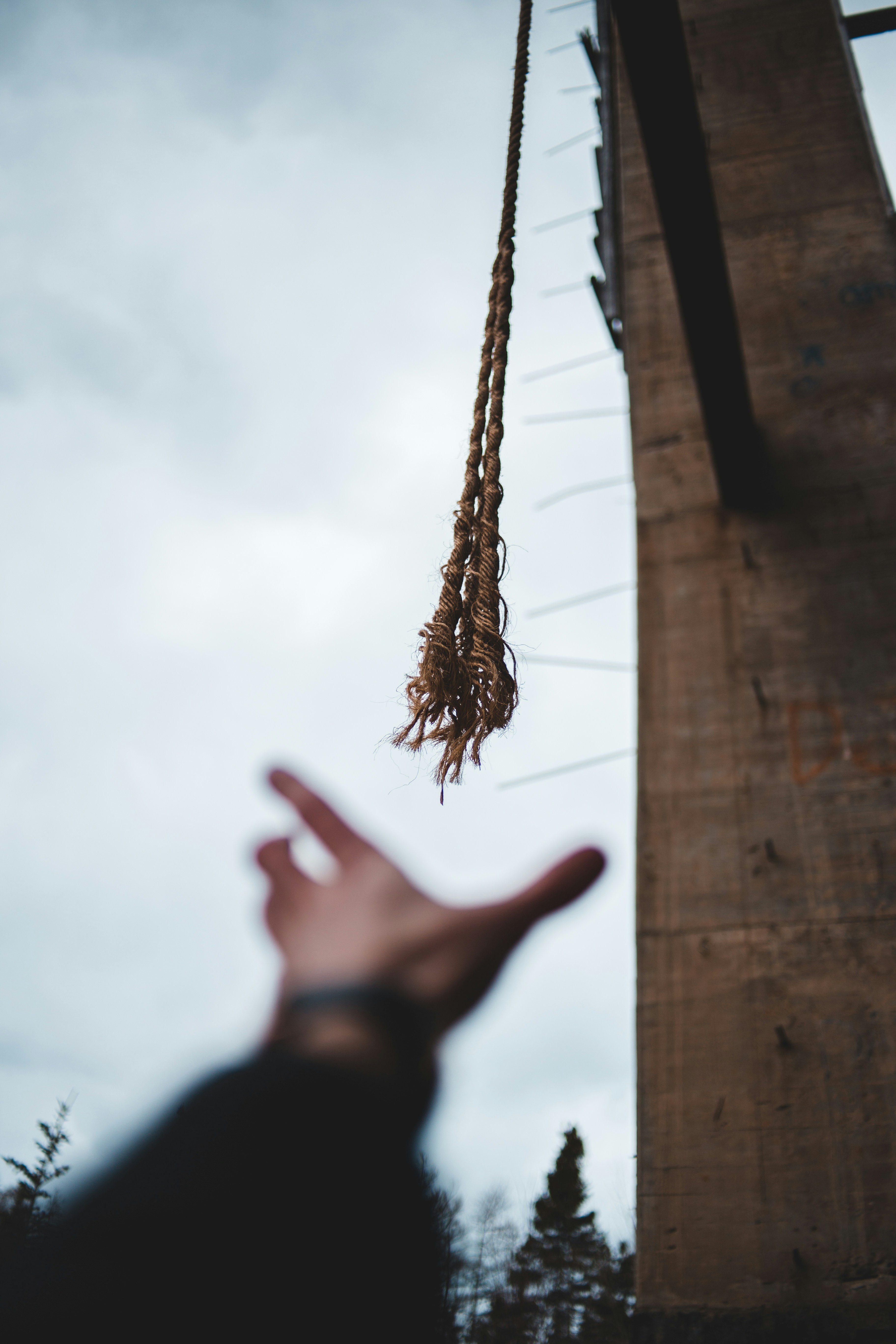 shallow focus photo of brown ropes