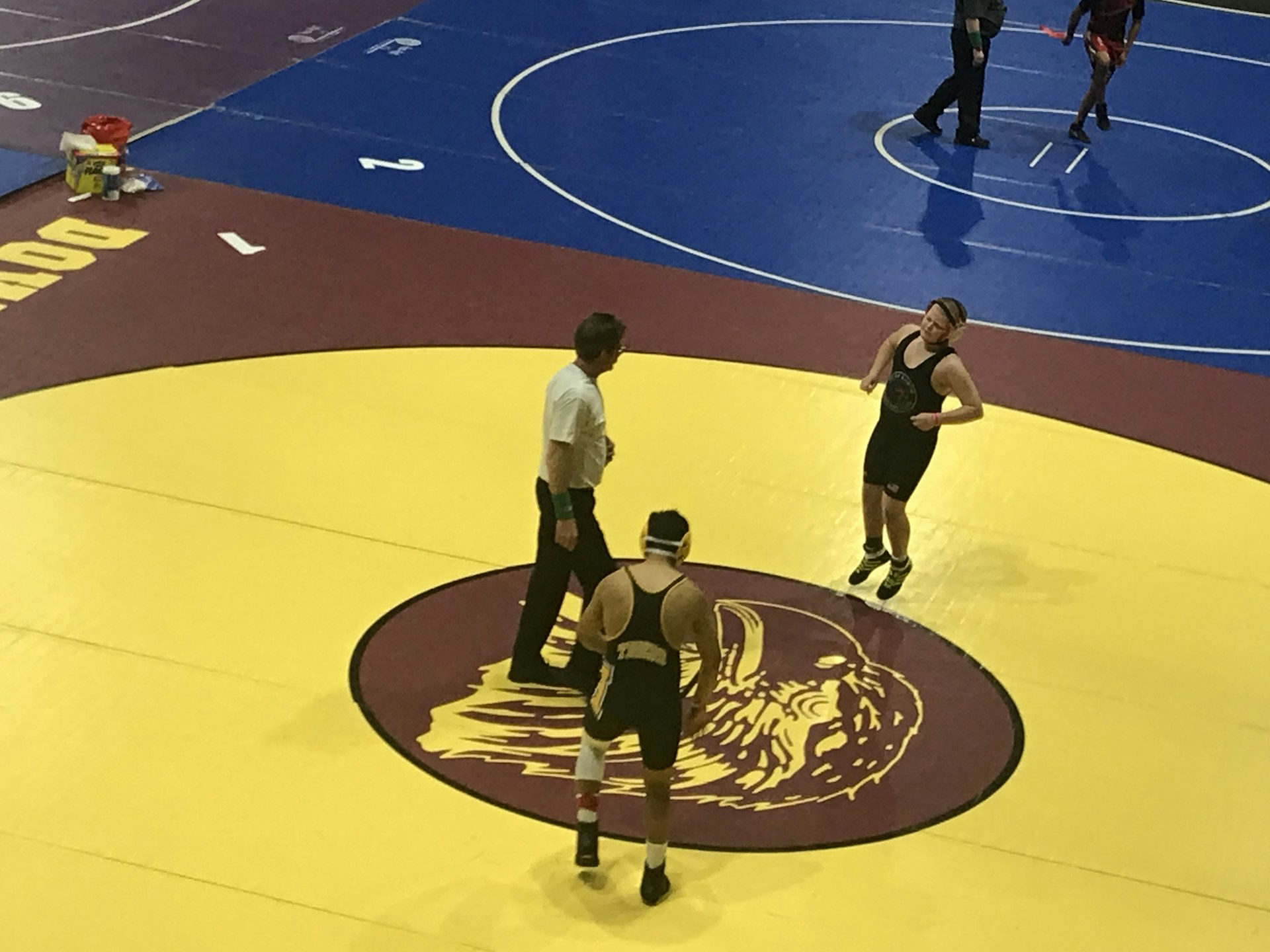 Two wrestlers and a referee are on a yellow wrestling mat with a maroon and gold logo in the center. One wrestler is wearing a black singlet with a gear headguard, and the other wrestler is also in a black singlet appearing ready to start the match. The referee stands between them, observing the scene. An adjacent wrestling mat is visible in the background, colored in blue, where another pair of wrestlers seem to be competing.