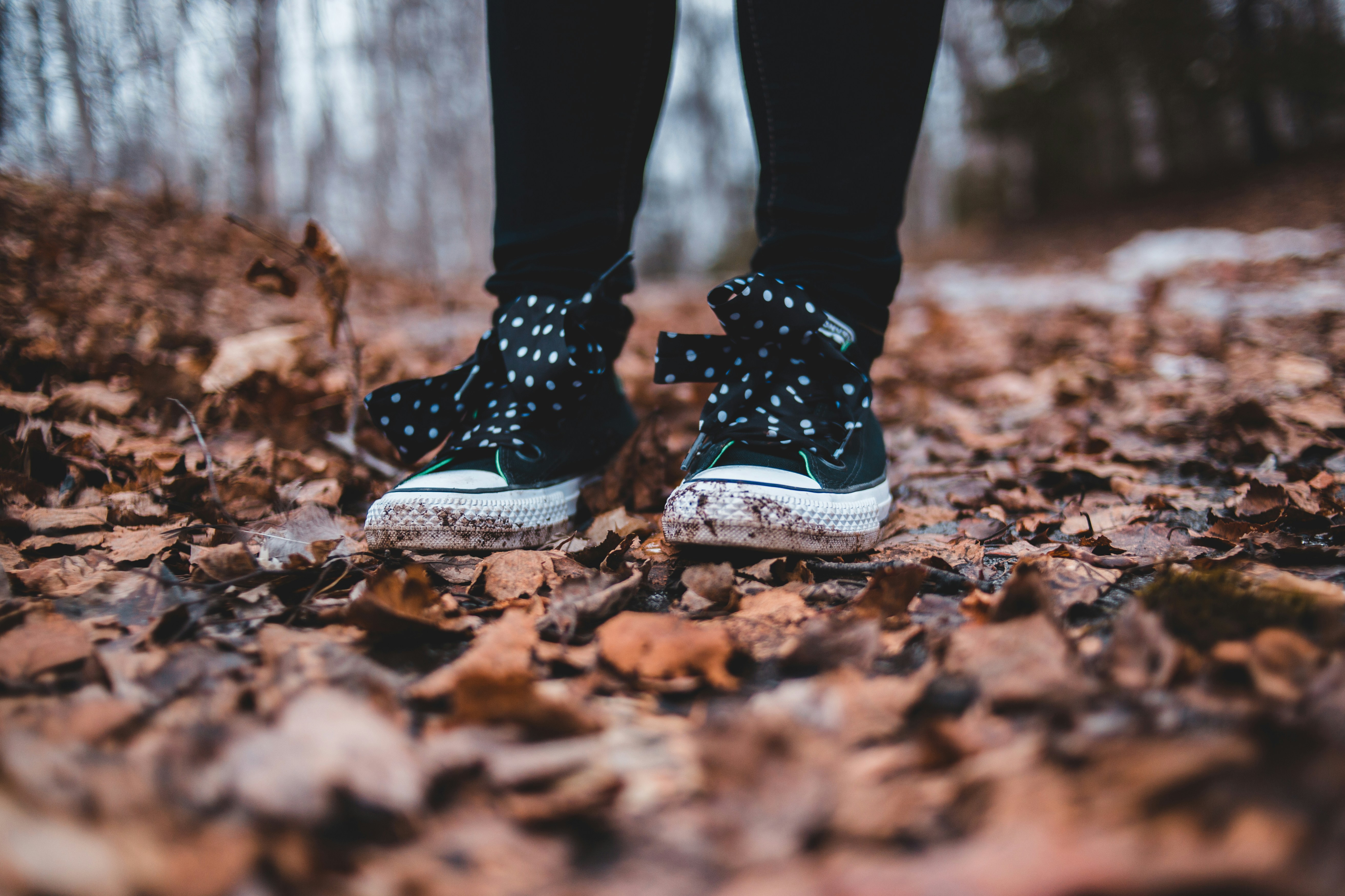 Photo by introspectivedsgn