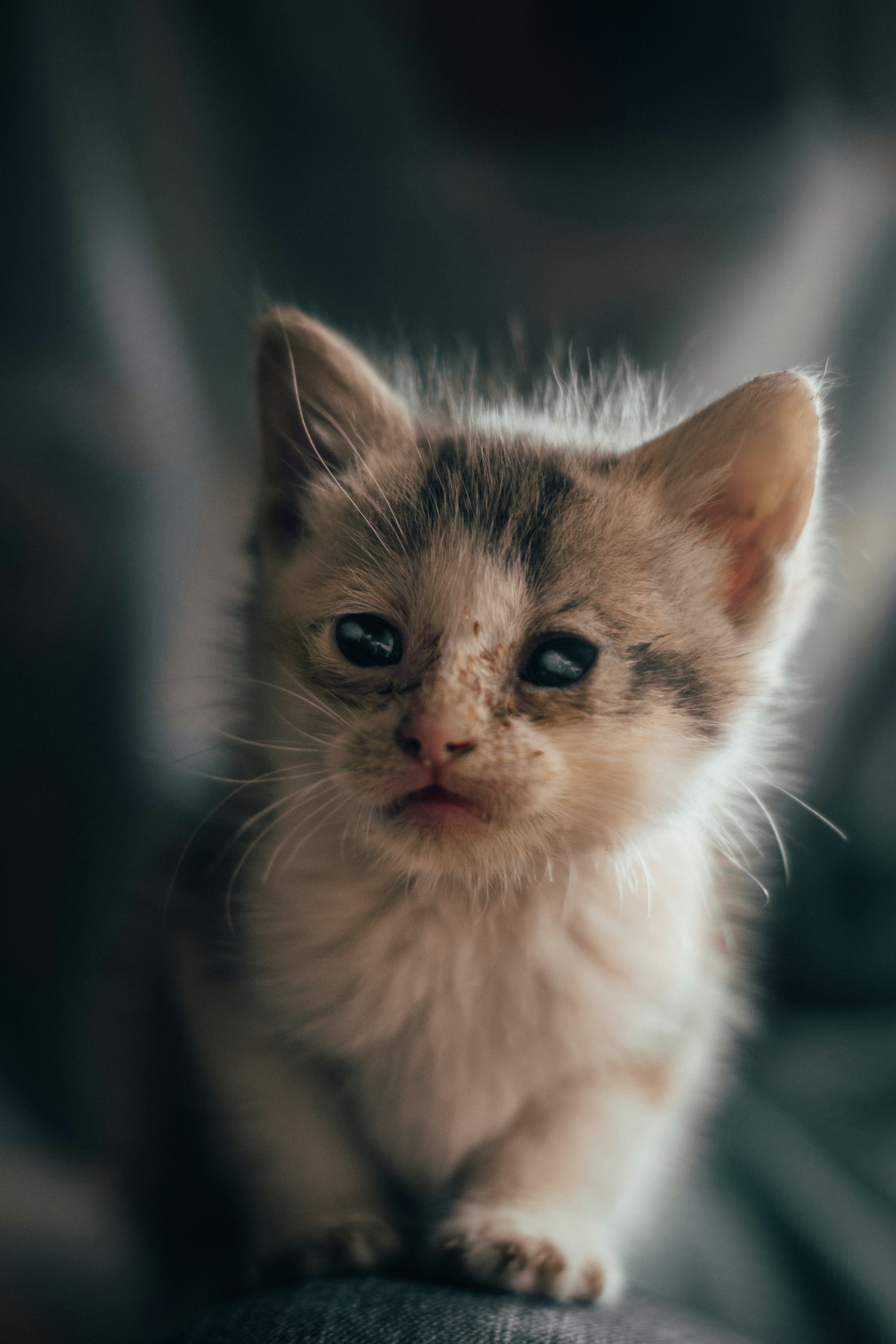 Photo by gasparzaldo